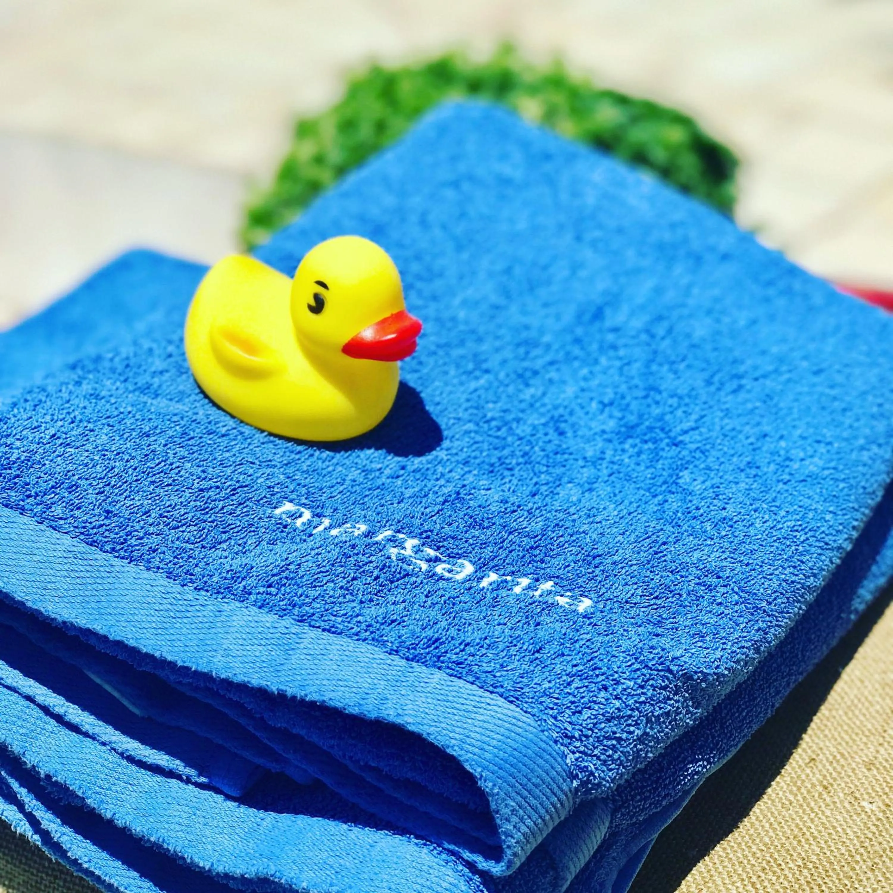 Logo/Certificate/Sign in Margarita Studios Ambelas