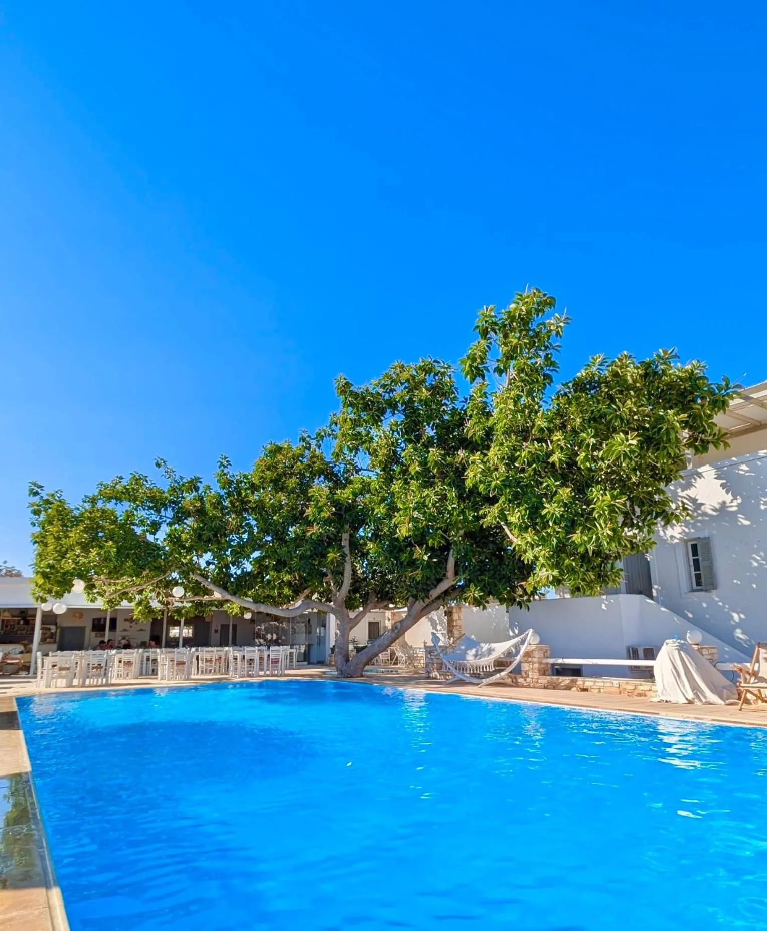 Swimming pool in Margarita Studios Ambelas