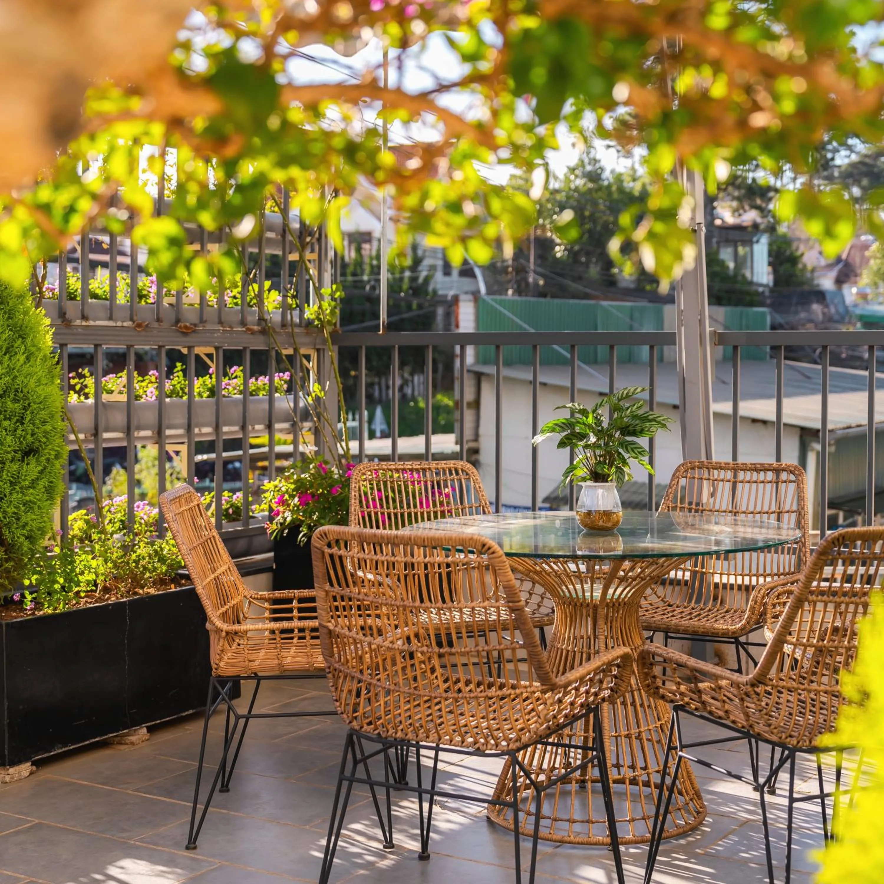 Area and facilities in Greenview City Hotel