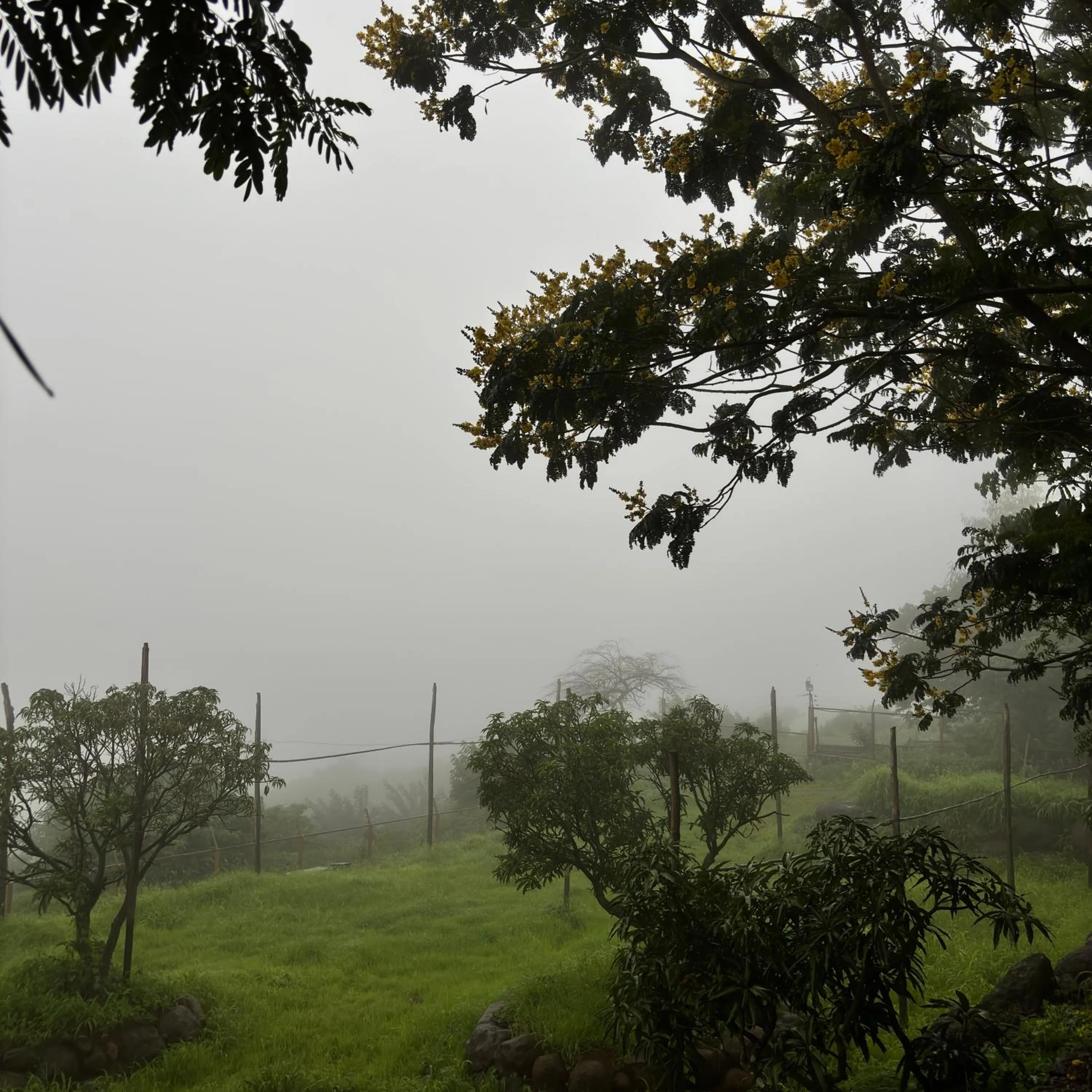 Garden in Nisarg Resort