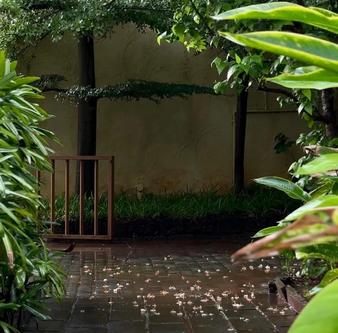 Garden in Nisarg Resort