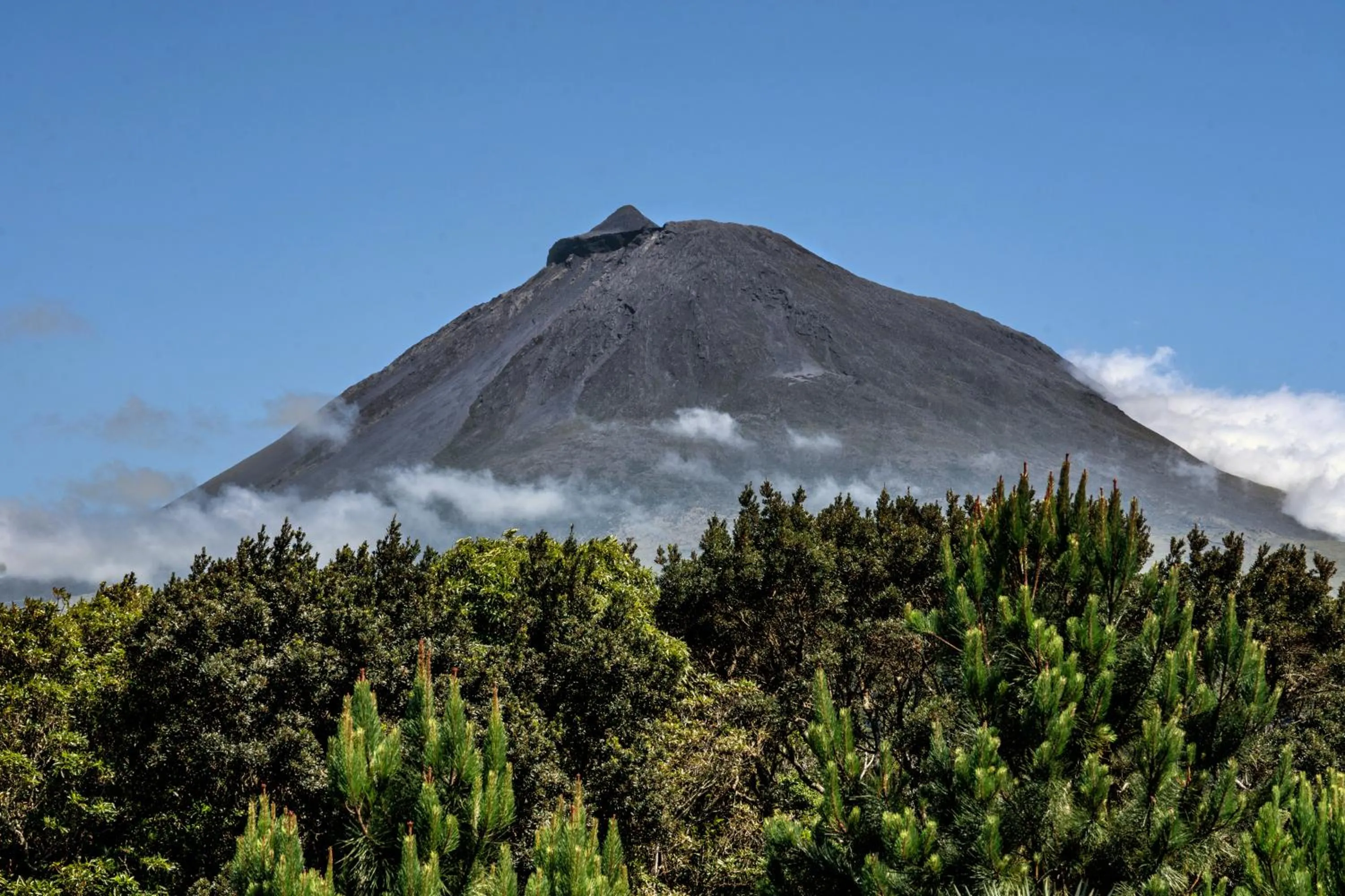 Natural landscape in Alma do Pico - Nature Residence