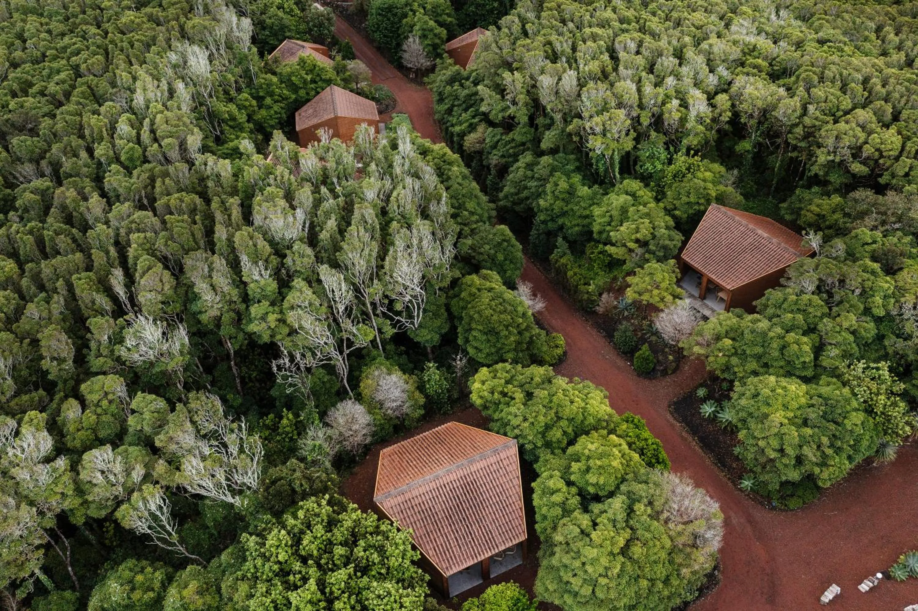 Natural landscape in Alma do Pico - Nature Residence