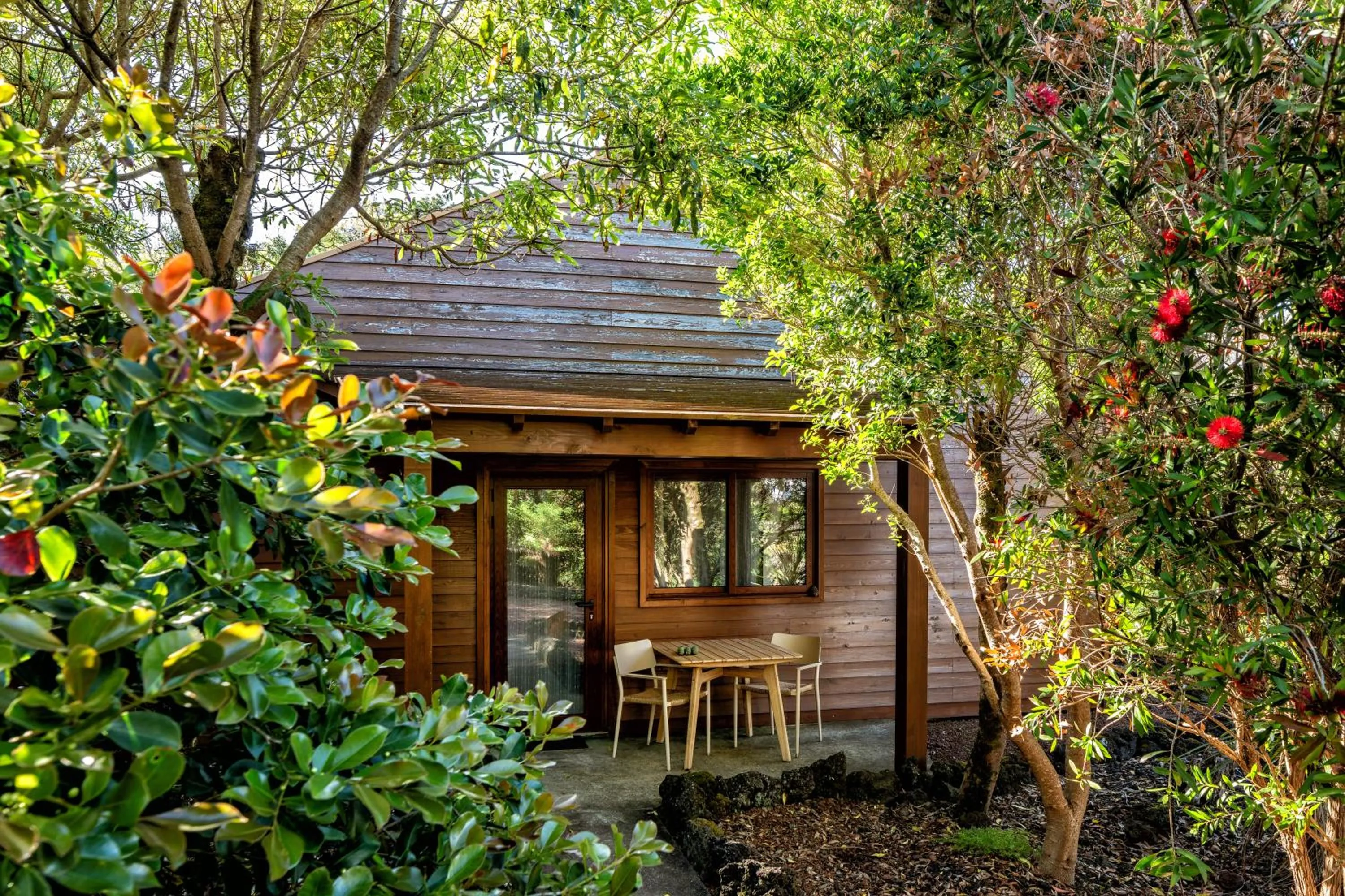 Natural landscape in Alma do Pico - Nature Residence