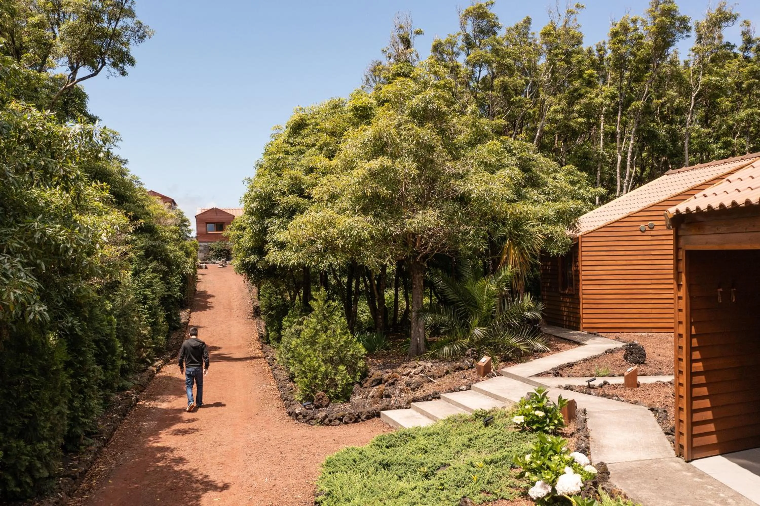 Property building in Alma do Pico - Nature Residence