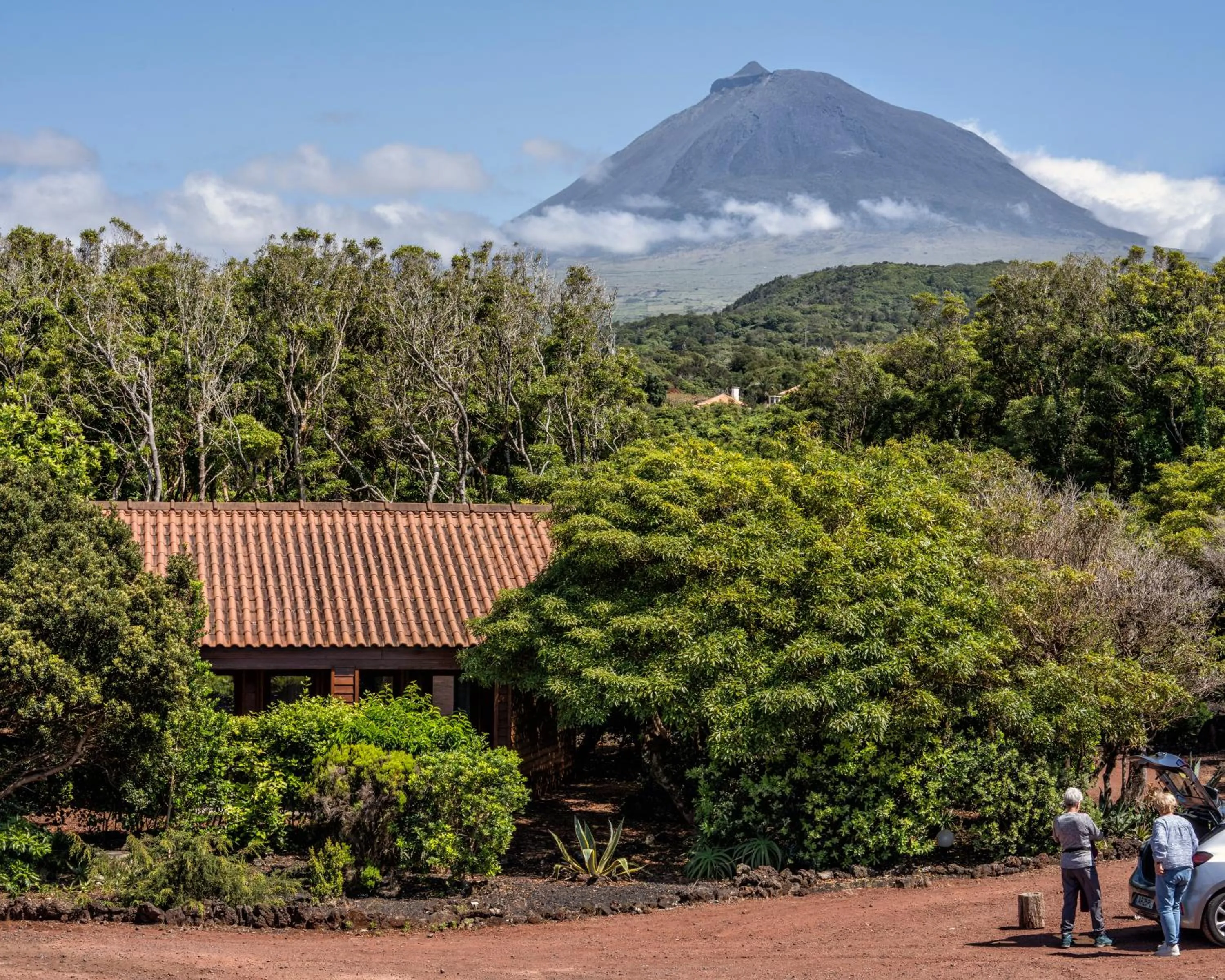 Natural landscape in Alma do Pico - Nature Residence