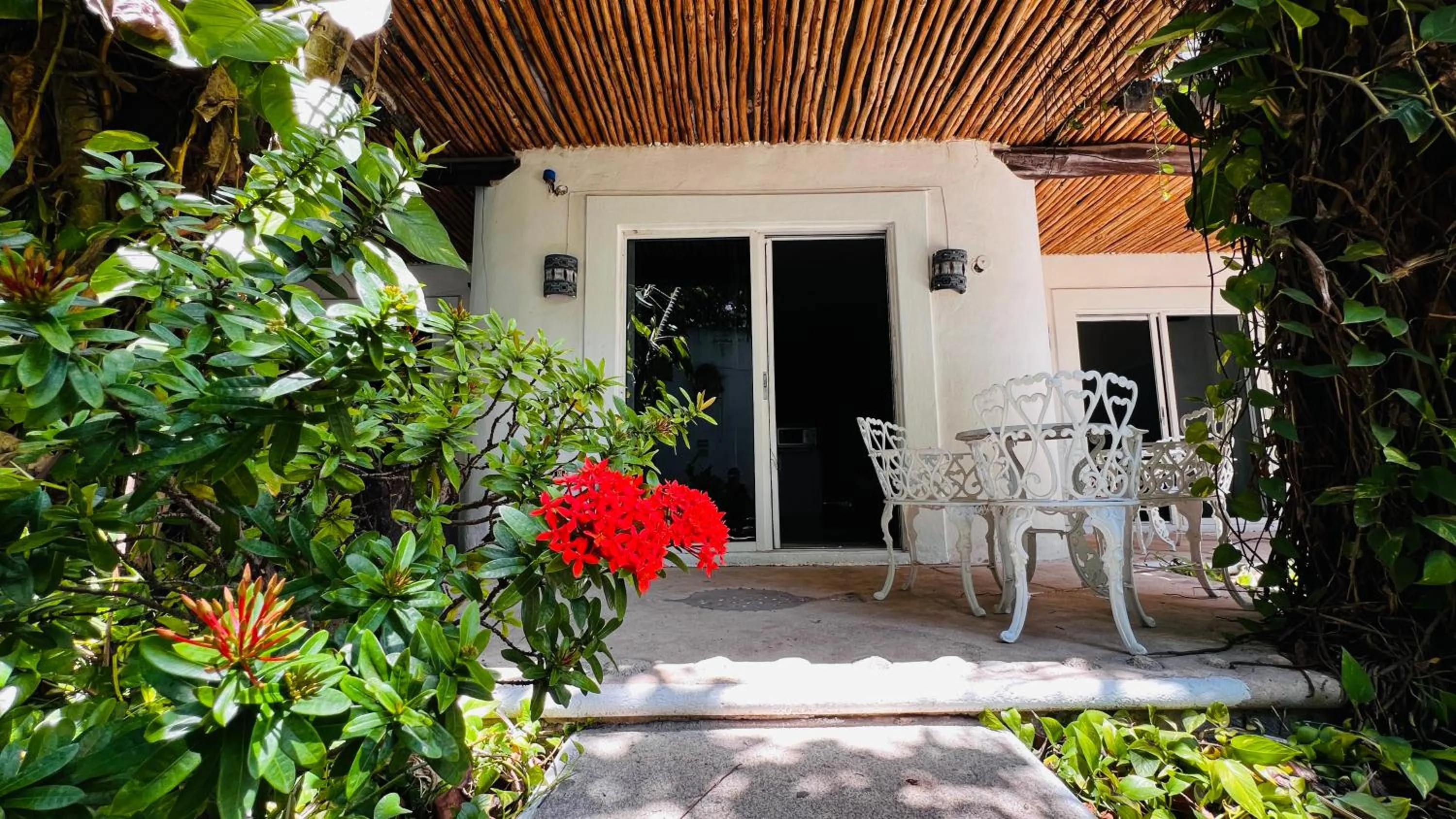 Garden view in Mayan Art Hotel 10 avenue