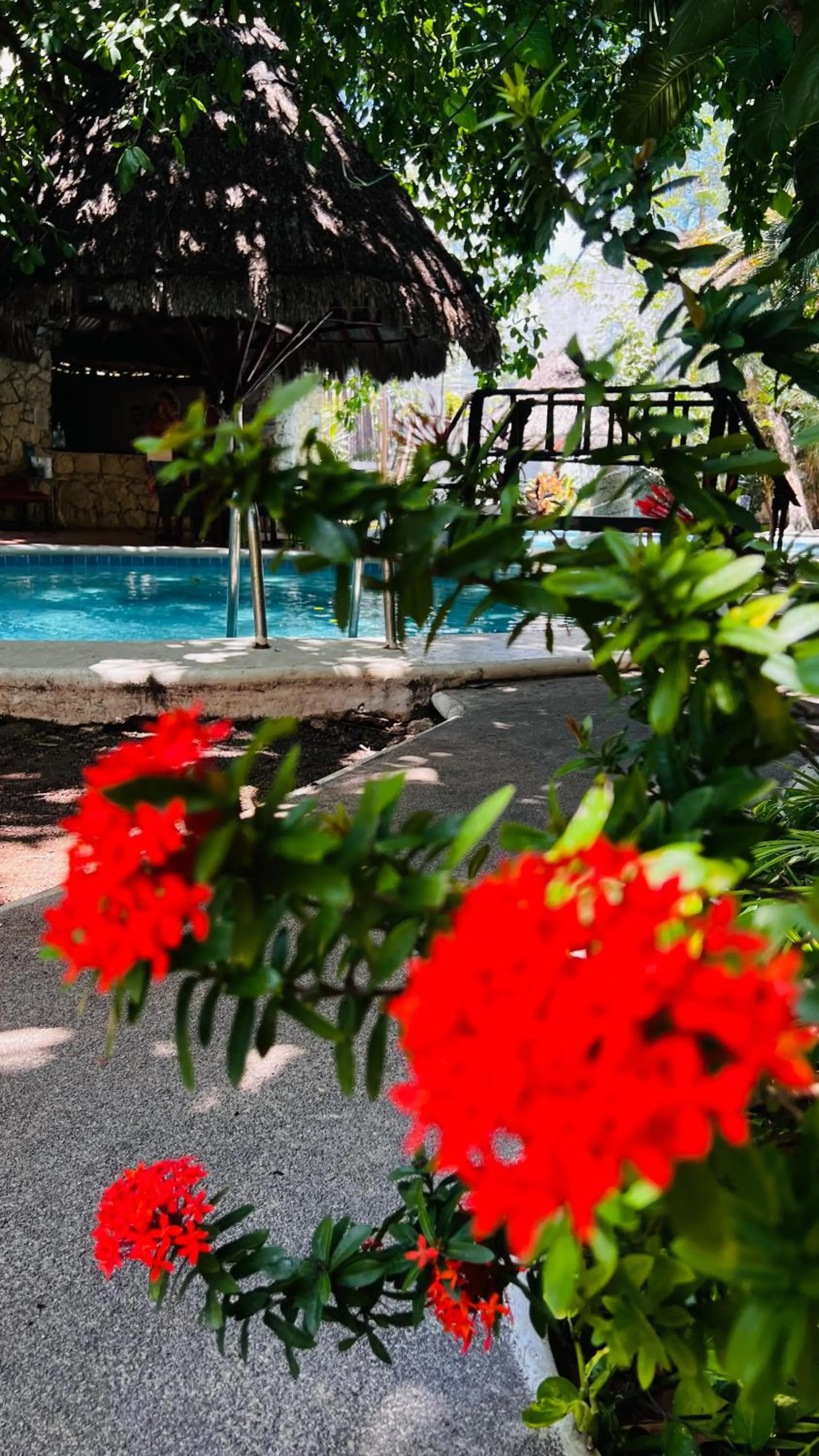 Pool view in Mayan Art Hotel 10 avenue