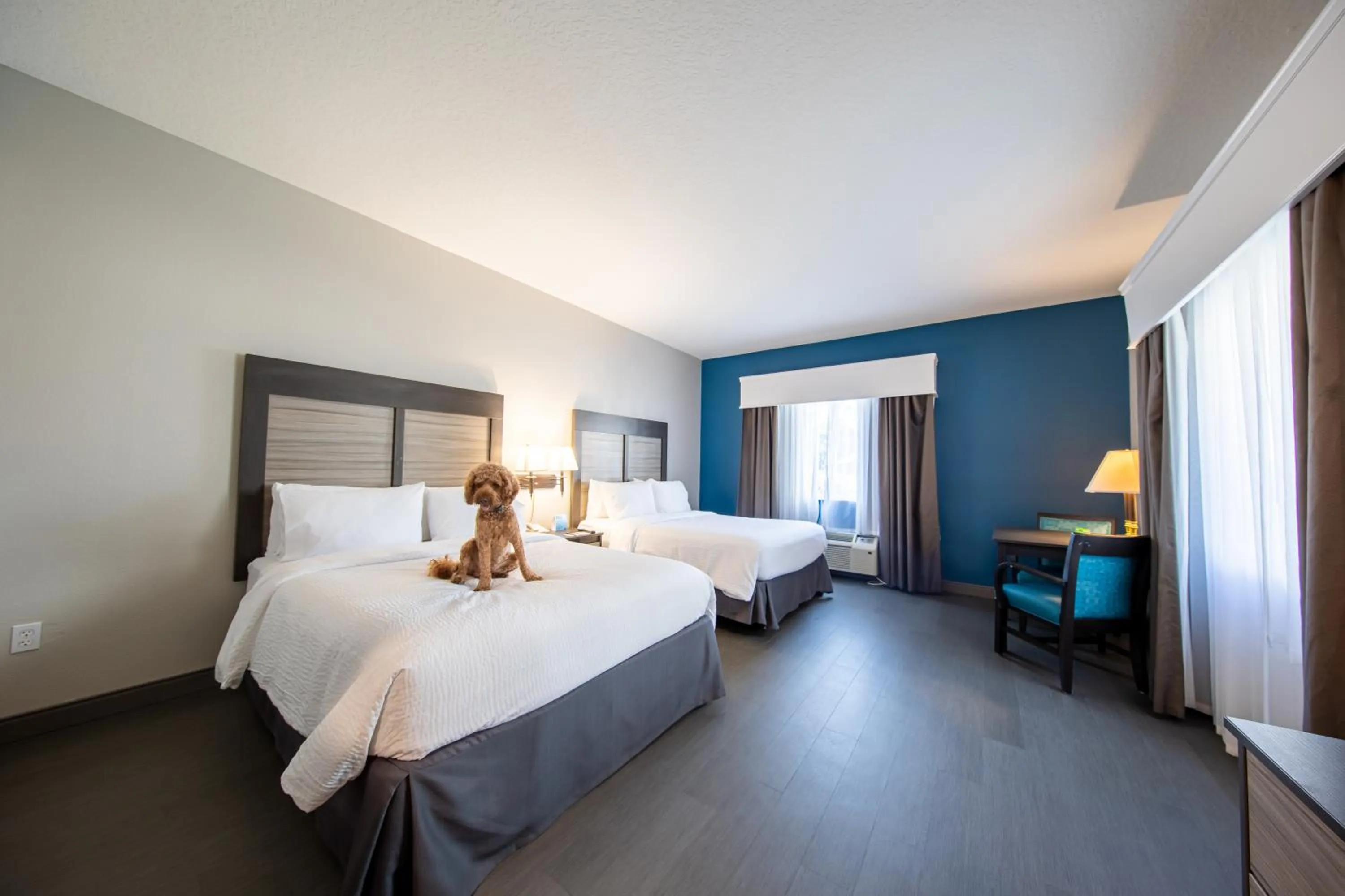Photo of the whole room, Bed in Holiday Inn Express & Suites Clermont SE - West Orlando by IHG