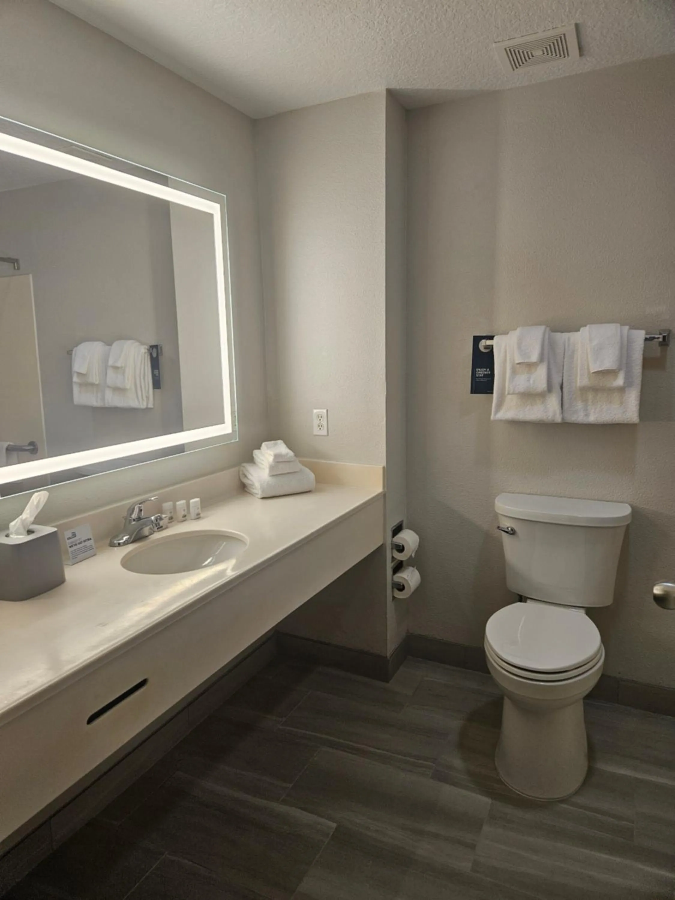 Bathroom in Holiday Inn Express & Suites Clermont SE - West Orlando by IHG