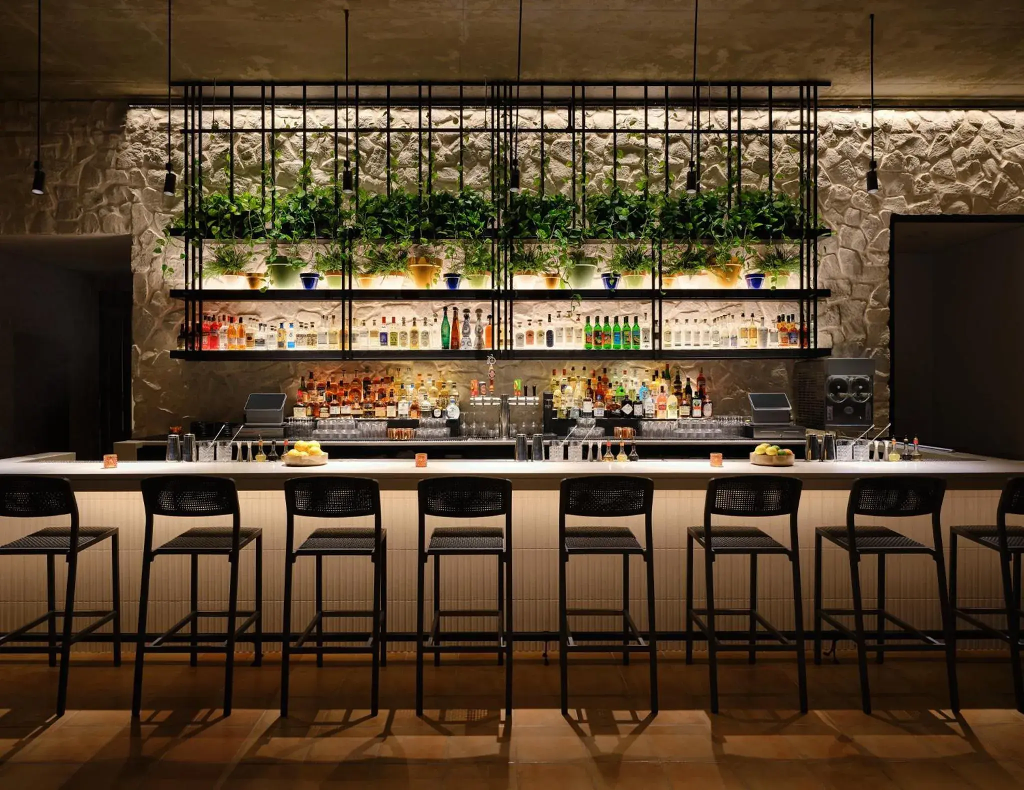 Lounge or bar in Kimpton Santo San Antonio - Riverwalk by IHG Lounge or bar in Kimpton Santo San Antonio - Riverwalk by IHG