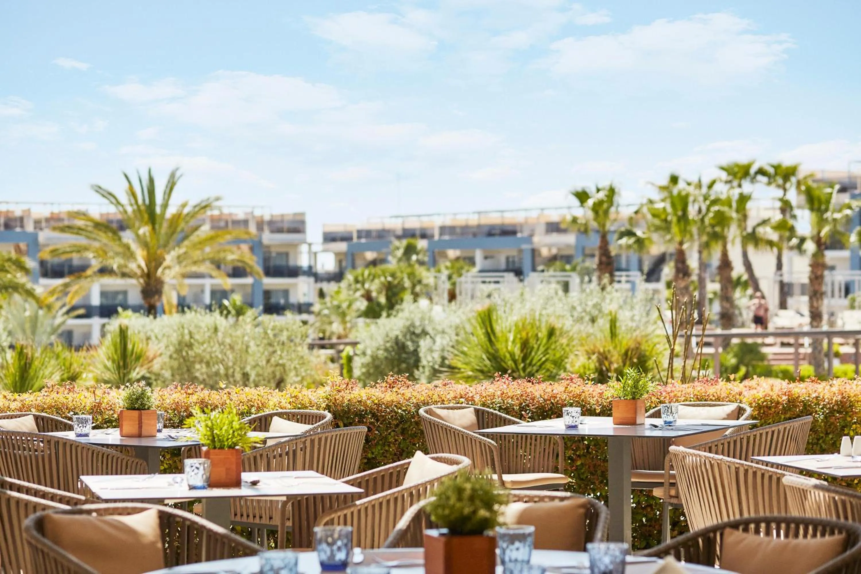 Restaurant/places to eat in Zafiro Palace Alcudia