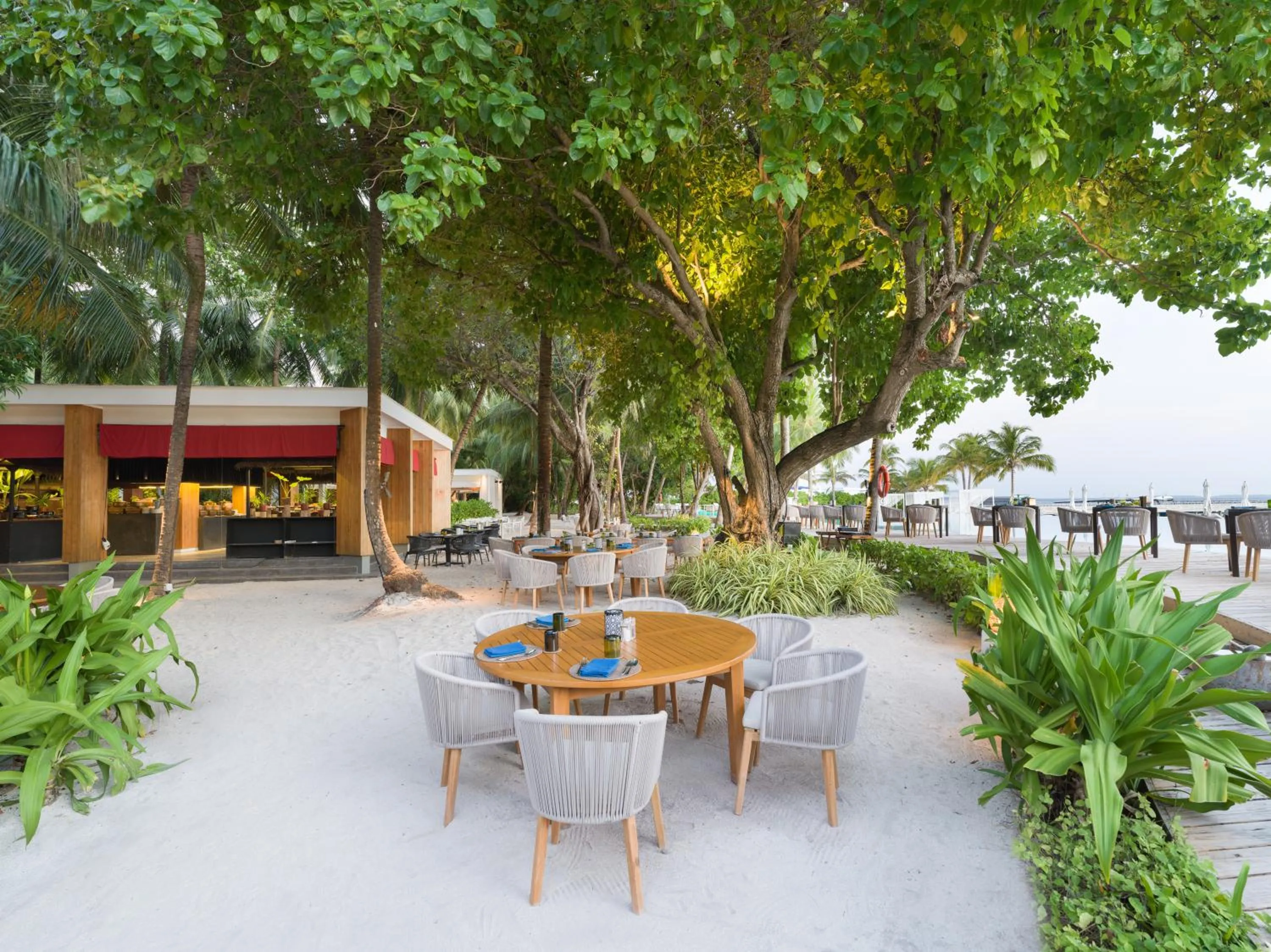 Restaurant/places to eat in Amilla Maldives