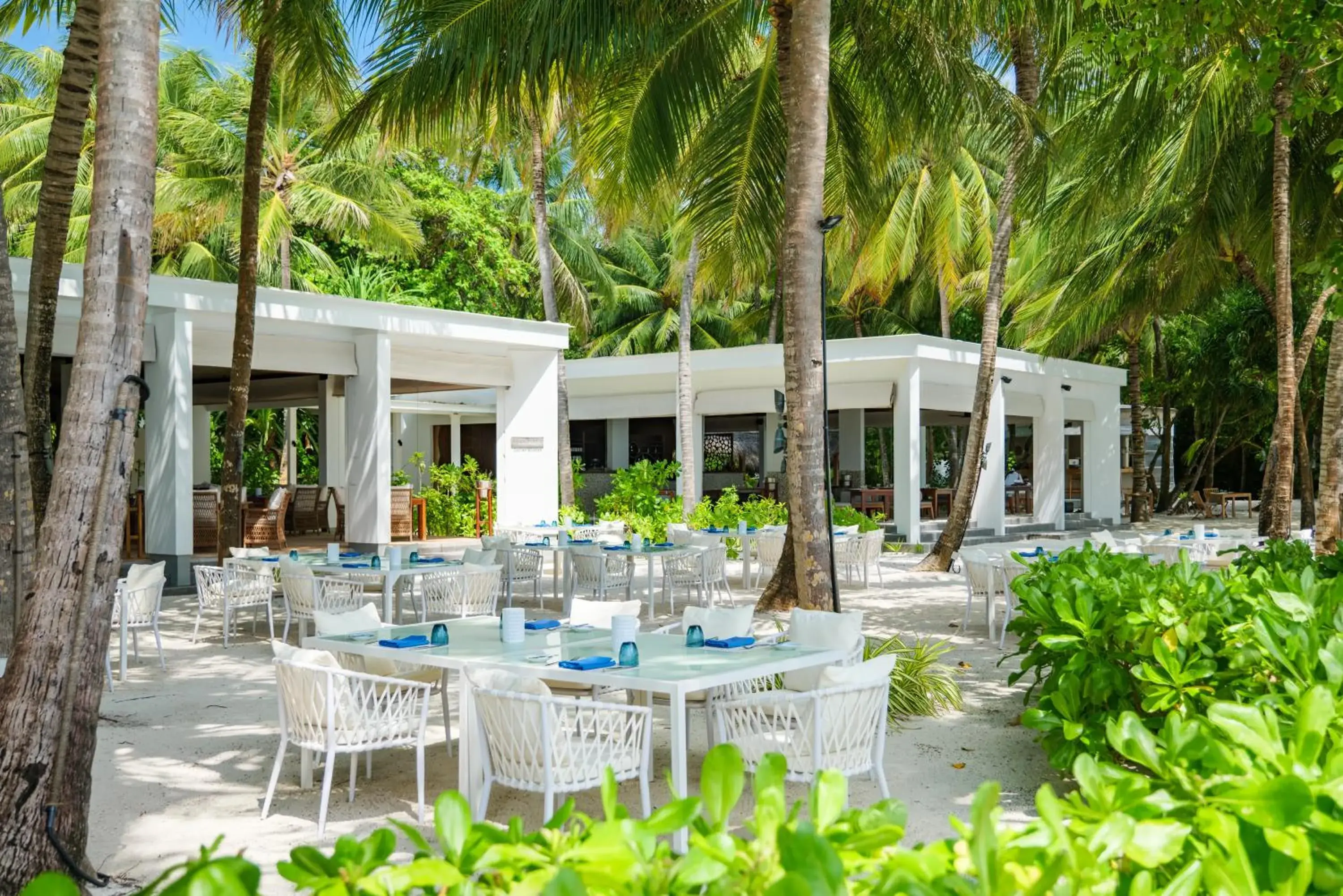 Restaurant/places to eat in Amilla Maldives Restaurant/places to eat in Amilla Maldives