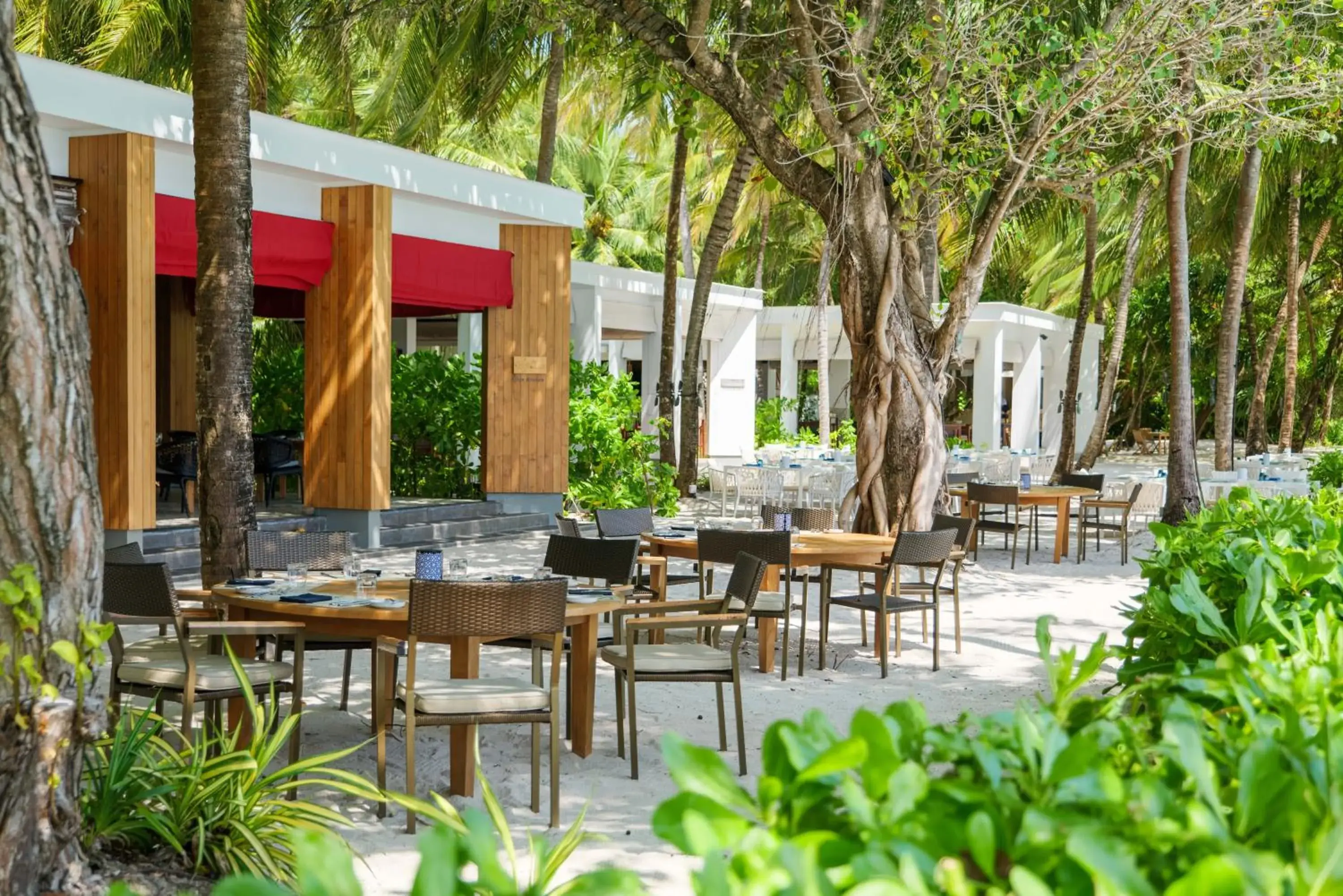 Restaurant/places to eat in Amilla Maldives Restaurant/places to eat in Amilla Maldives