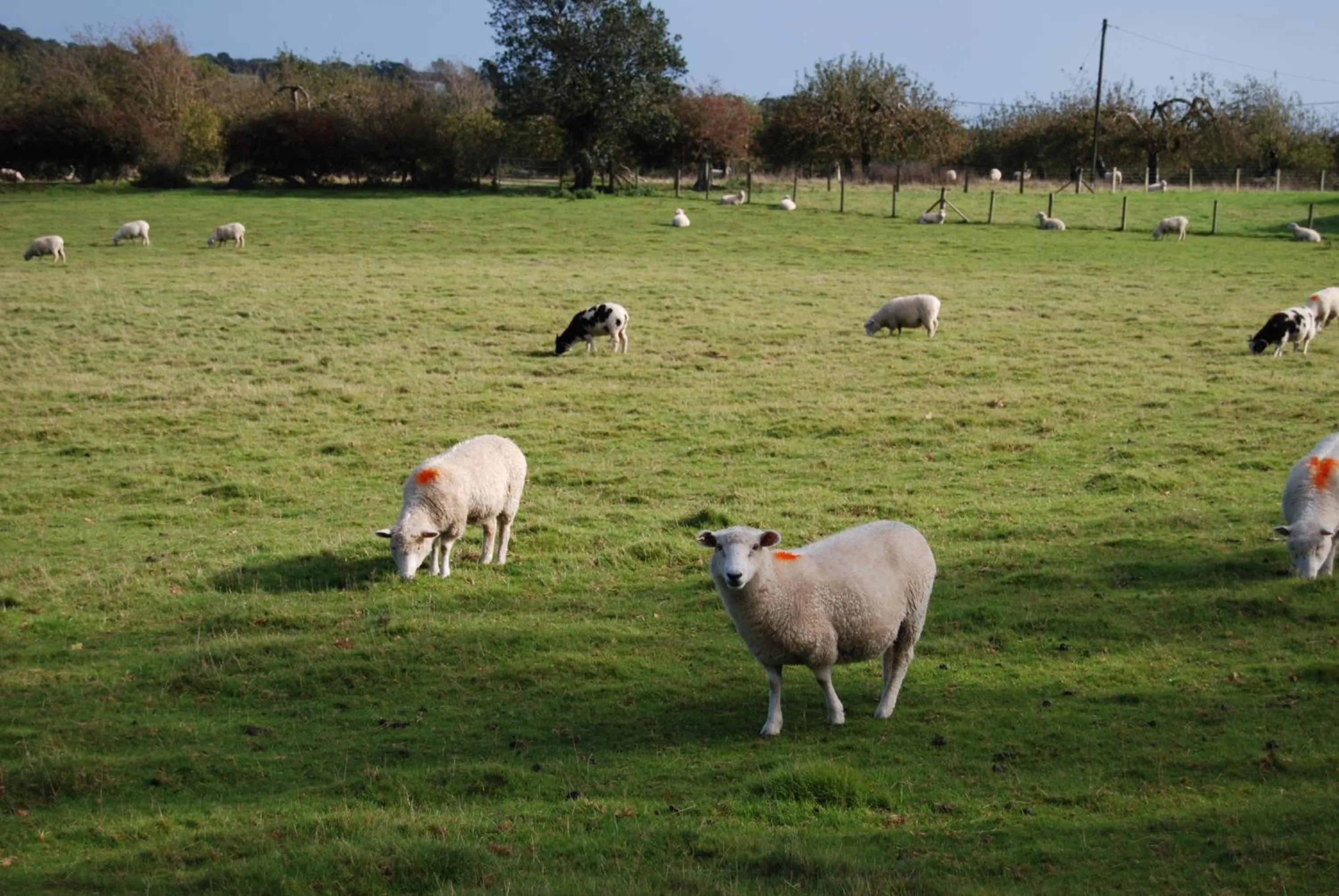 Area and facilities in Hare & Hounds Bed & Breakfast