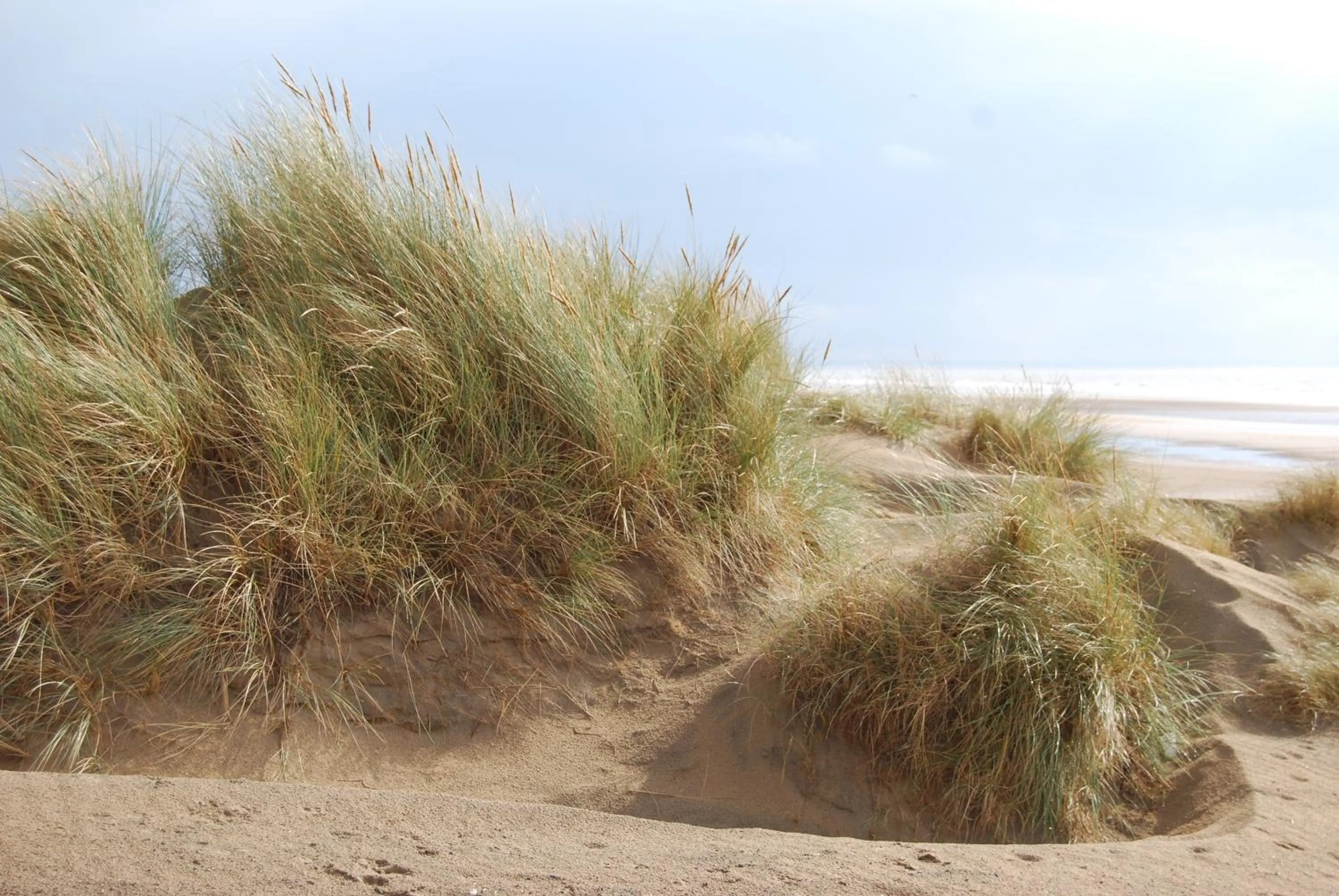 Beach in Hare & Hounds Bed & Breakfast