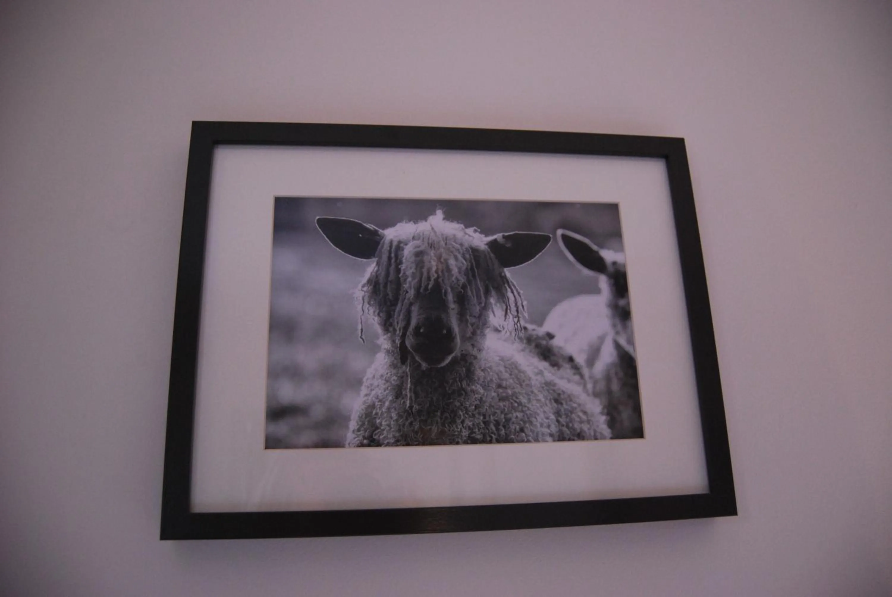 Decorative detail in Hare & Hounds Bed & Breakfast