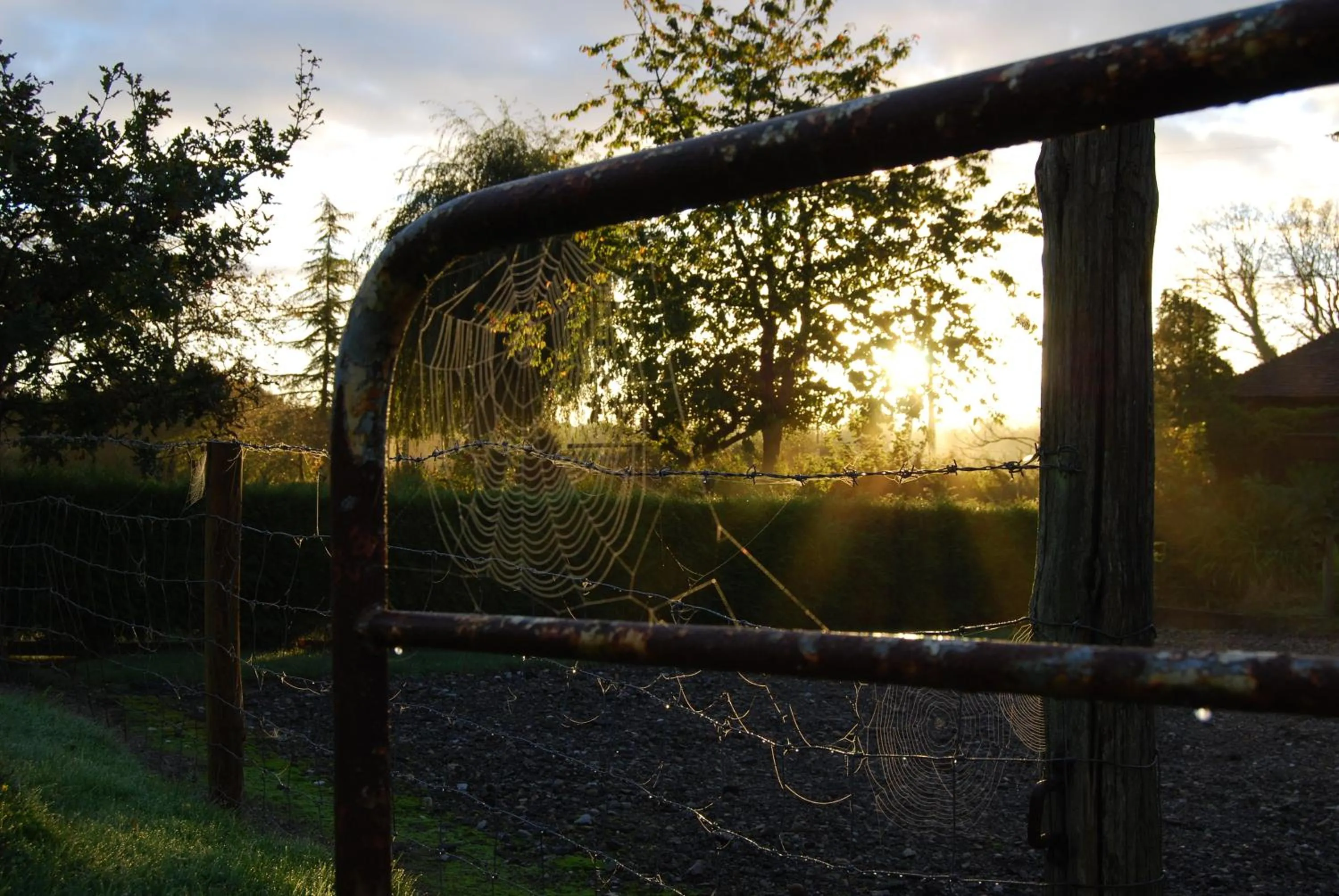 View (from property/room) in Hare & Hounds Bed & Breakfast
