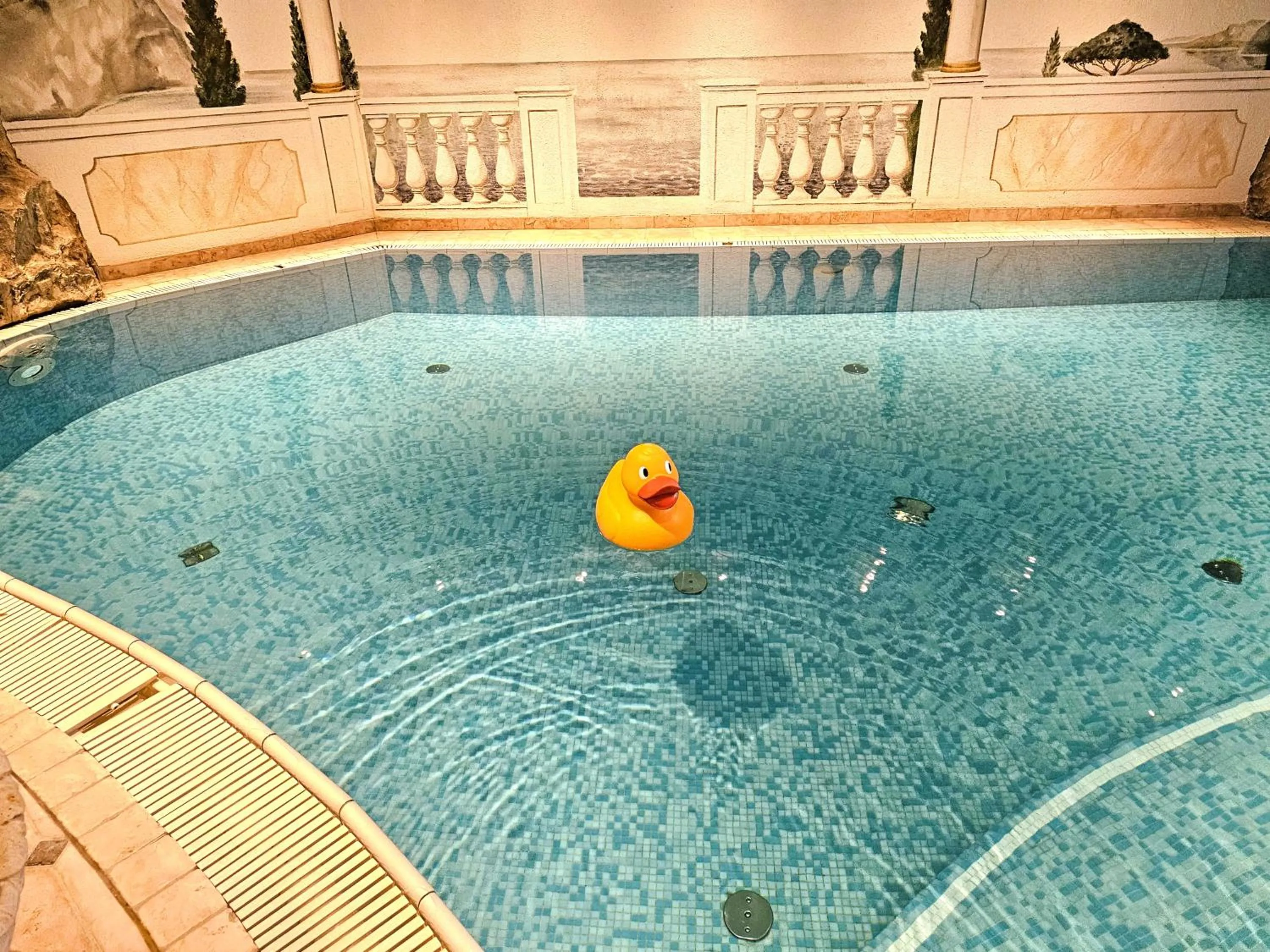 Pool view in Hotel Tonnerhof