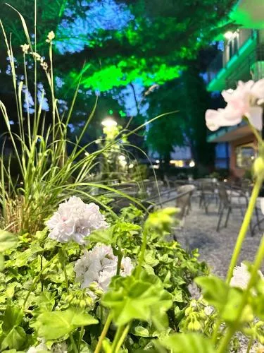 Hotel B&B Des Bains Milano Marittima