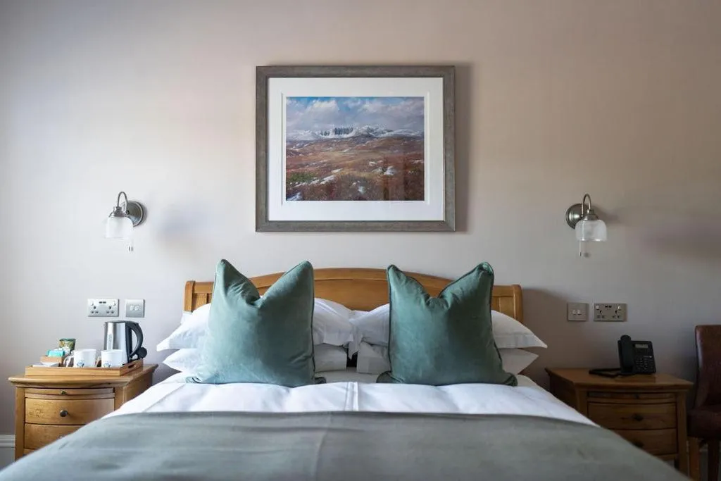 Deluxe King Room - single occupancy in The Forbes Arms Hotel