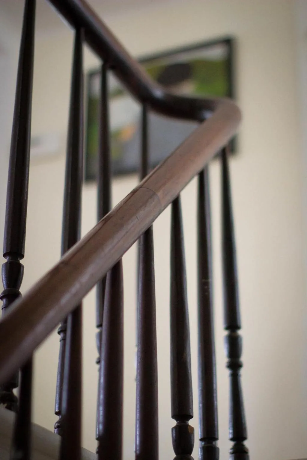 Historic White Blossom House