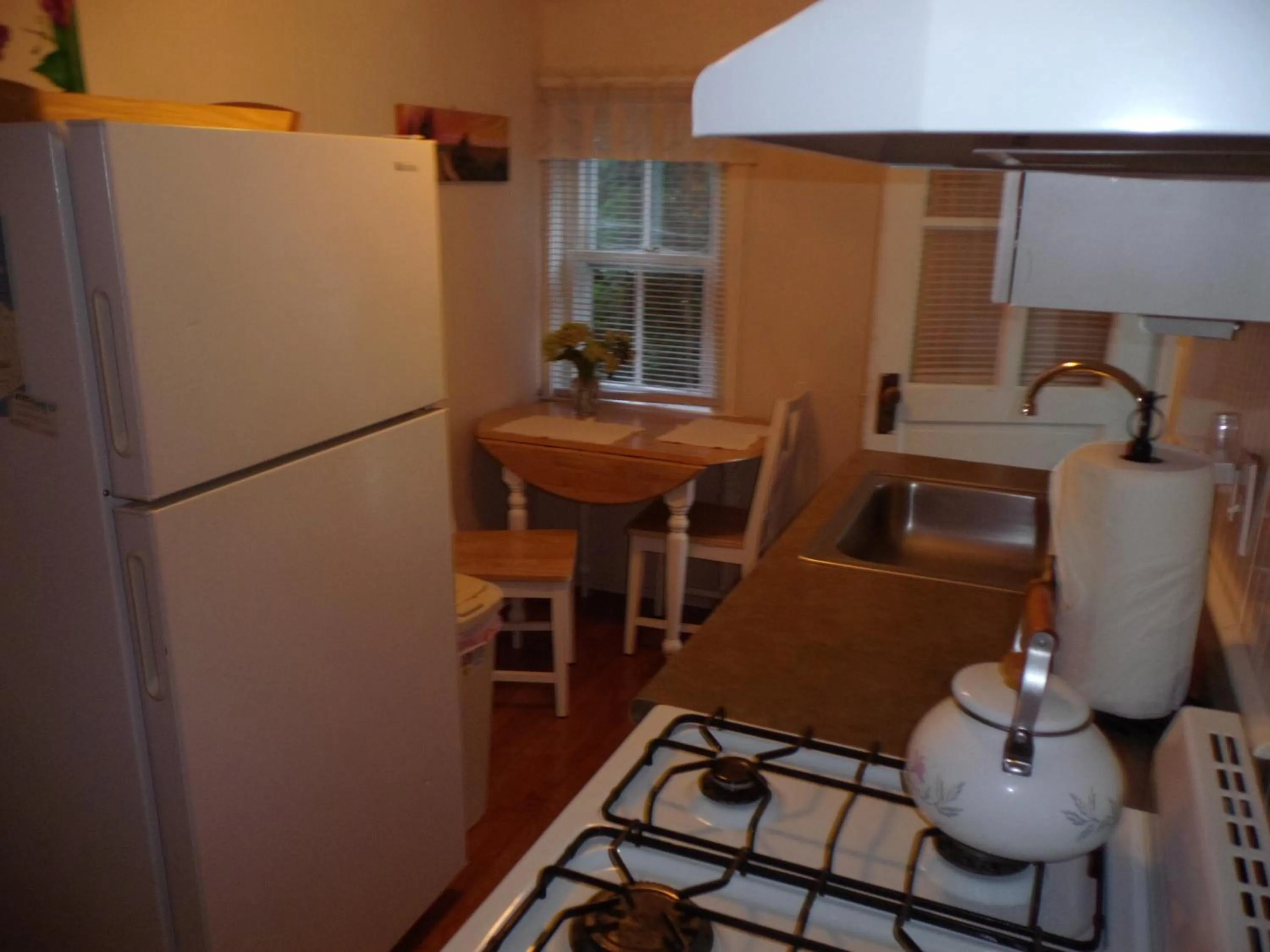 Kitchen or kitchenette in Historic White Blossom House