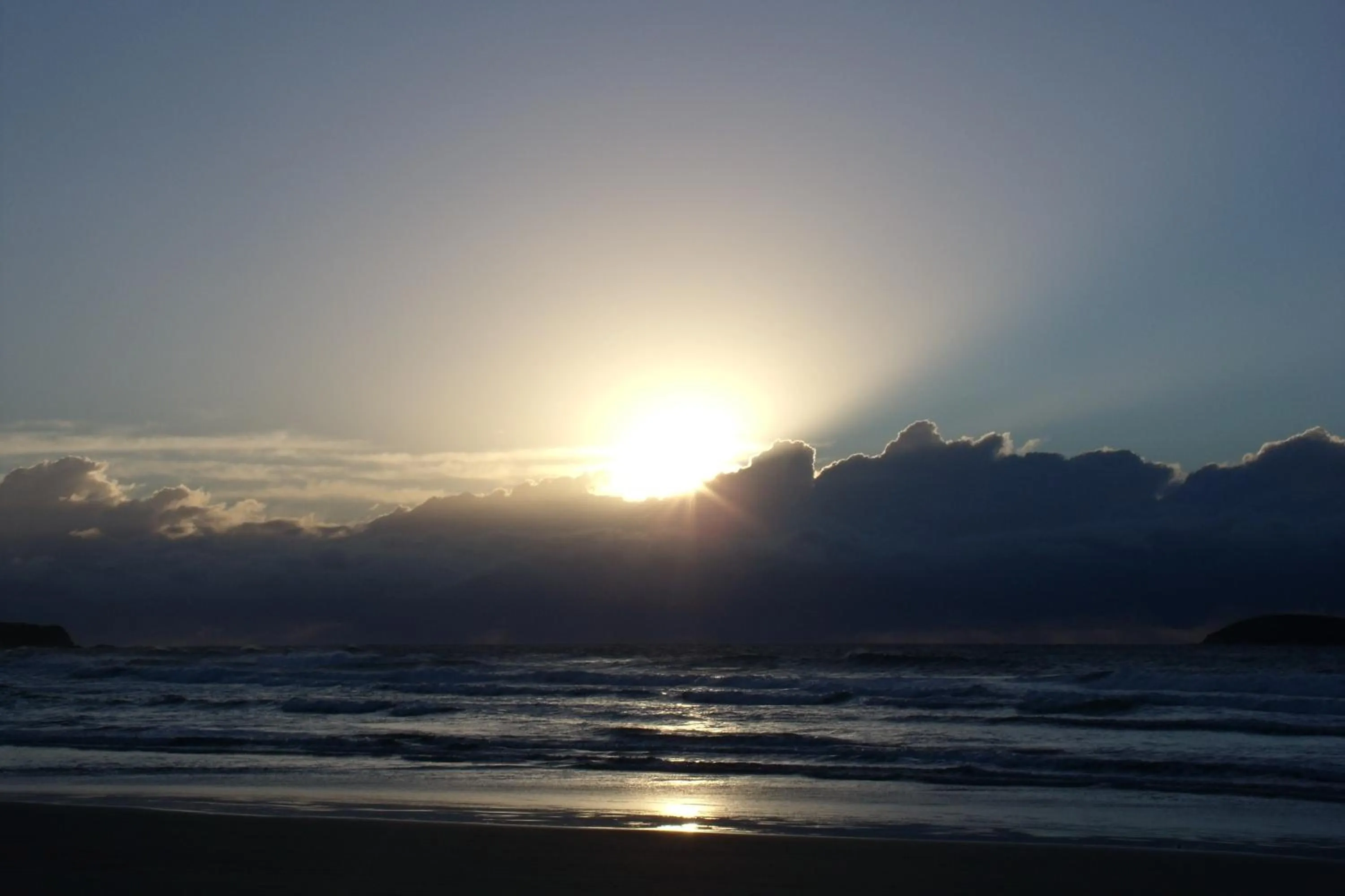 Area and facilities in Emerald Tropical Palms B & B