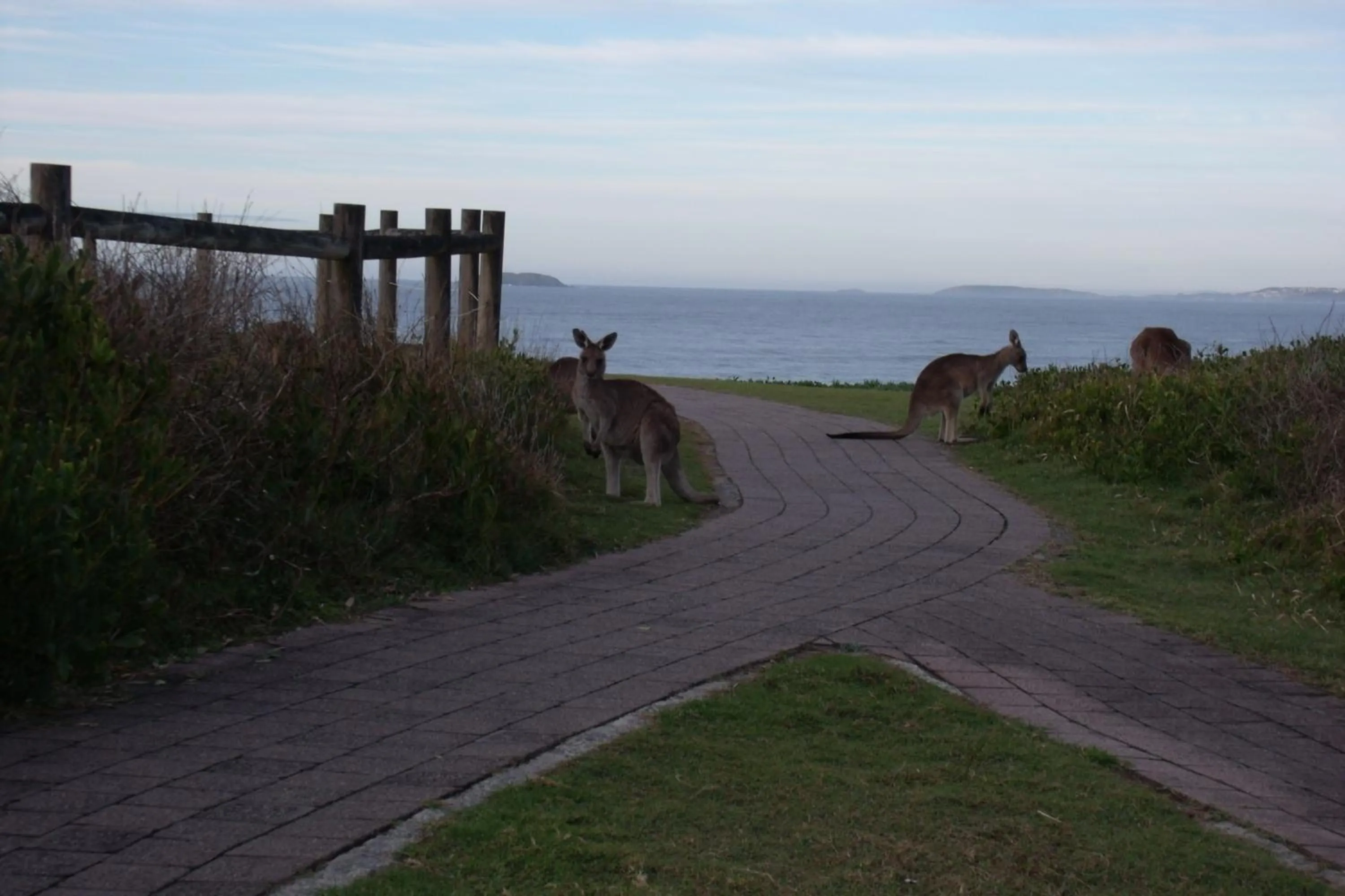 Property building in Emerald Tropical Palms B & B