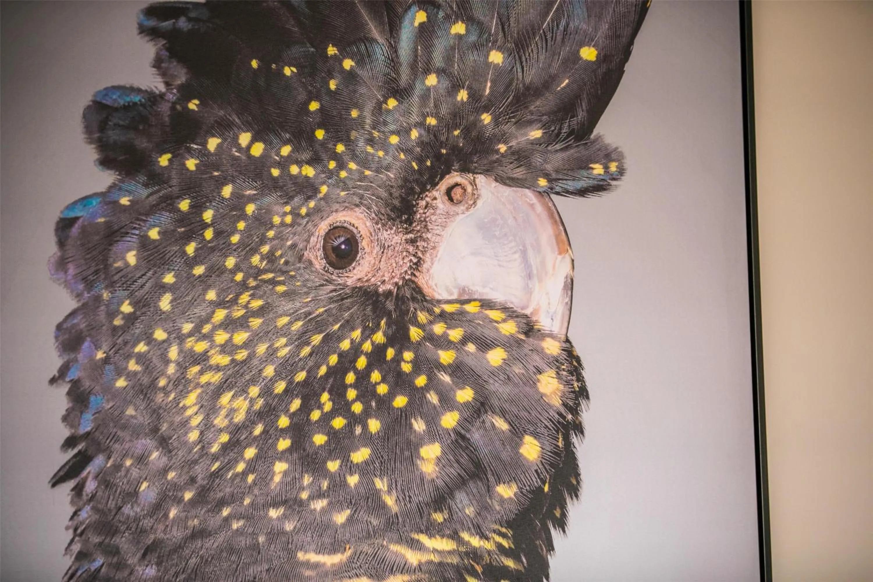 Bedroom in Nightcap at the Charles Hotel