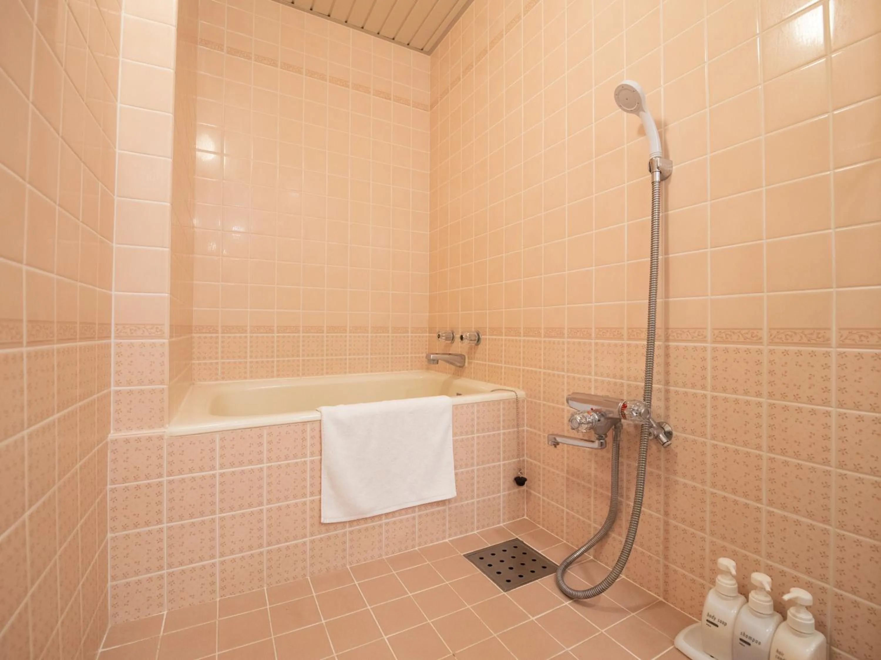 Shower in Resort Hotel Tateshina