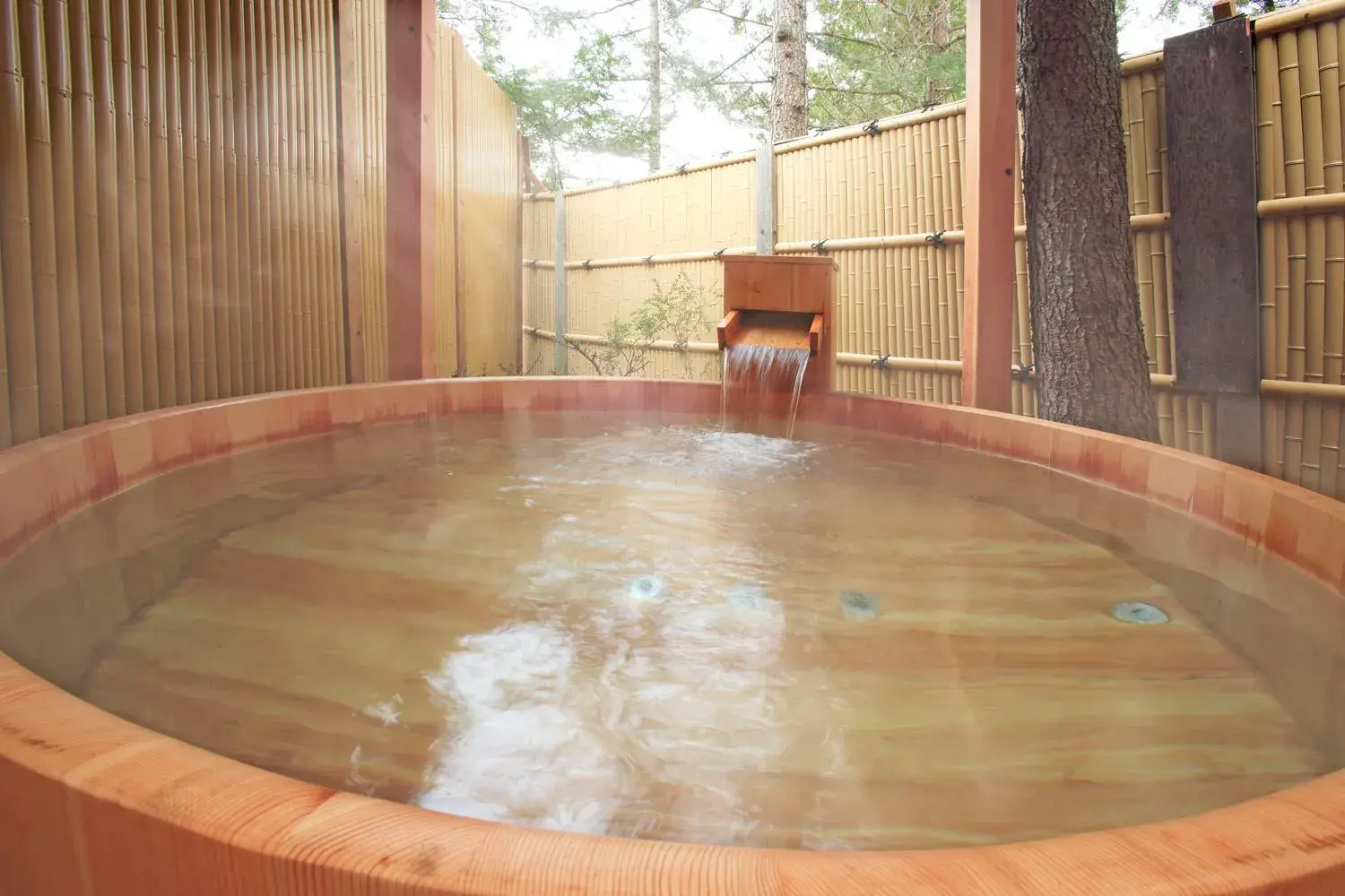 Hot Spring Bath in Resort Hotel Tateshina