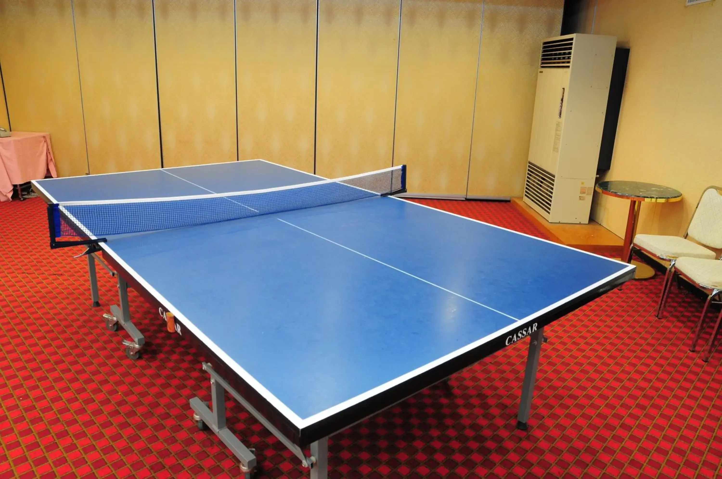 Table Tennis in Resort Hotel Tateshina