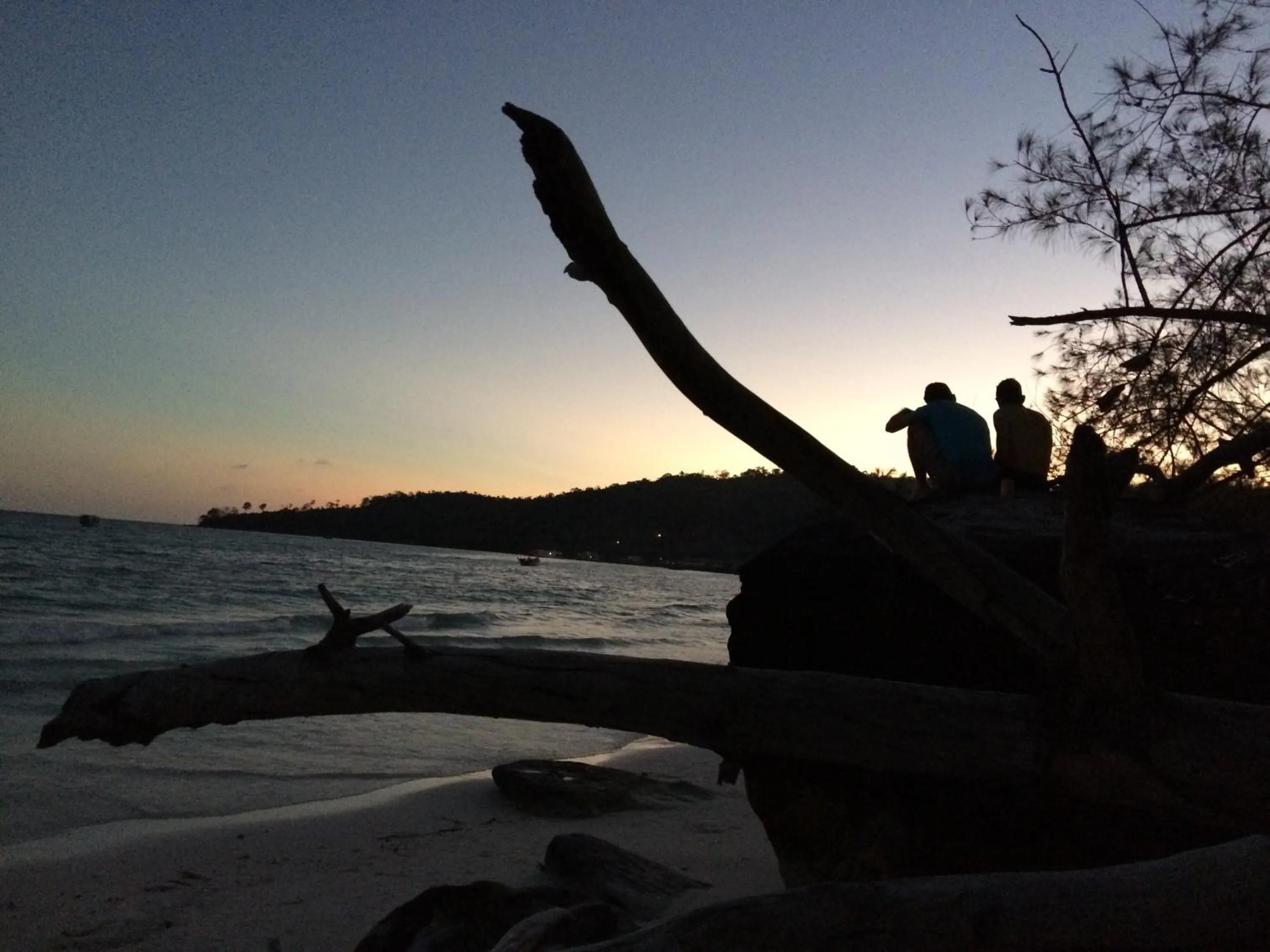 View (from property/room) in White Rose Guesthouse