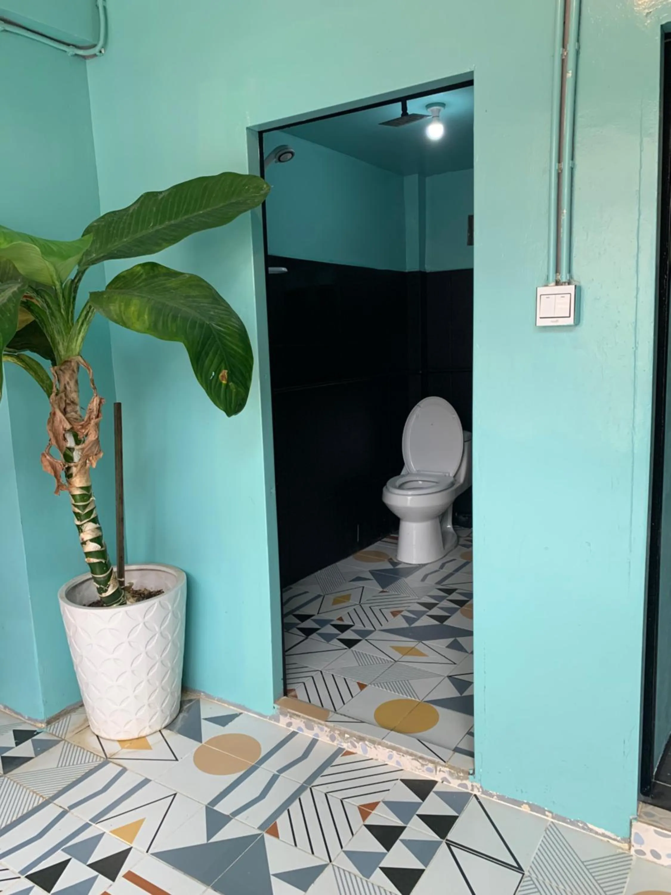 White Rose Guesthouse