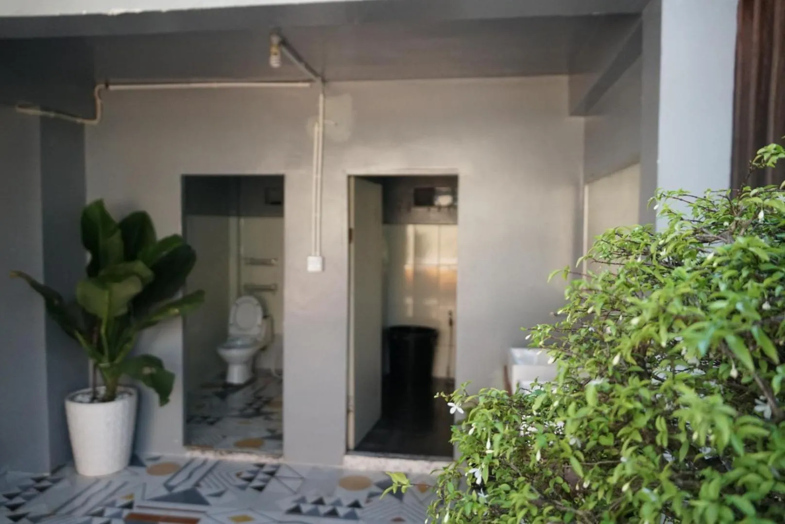 Garden in White Rose Guesthouse