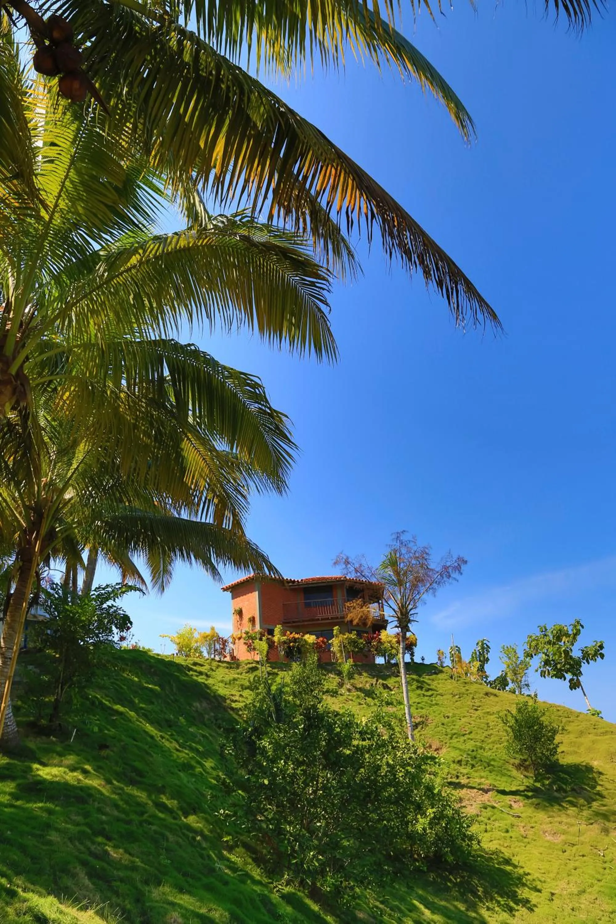 Property building in Villa Maria Tayrona, Jungle and Sea Experience