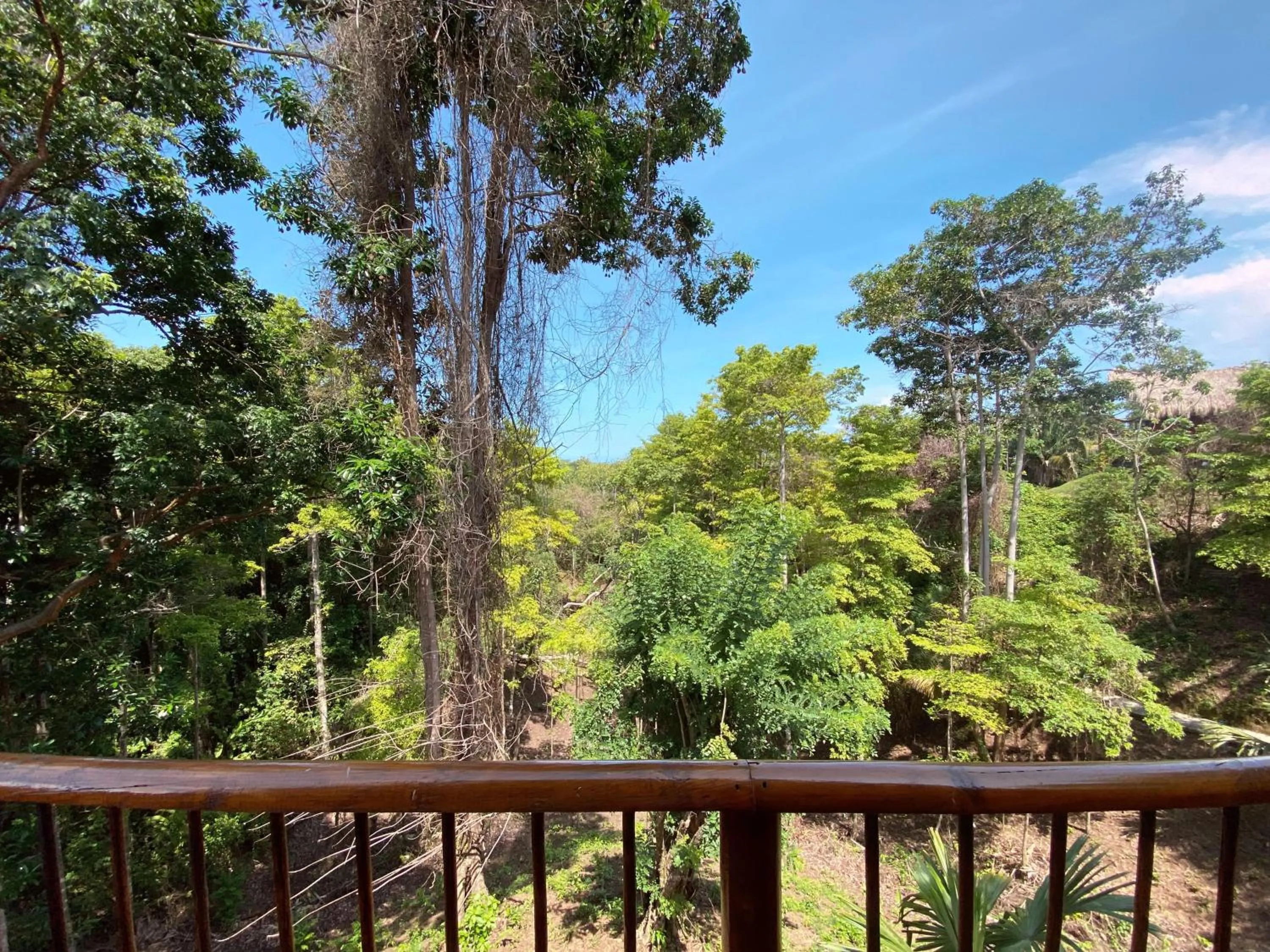 View (from property/room) in Villa Maria Tayrona, Jungle and Sea Experience
