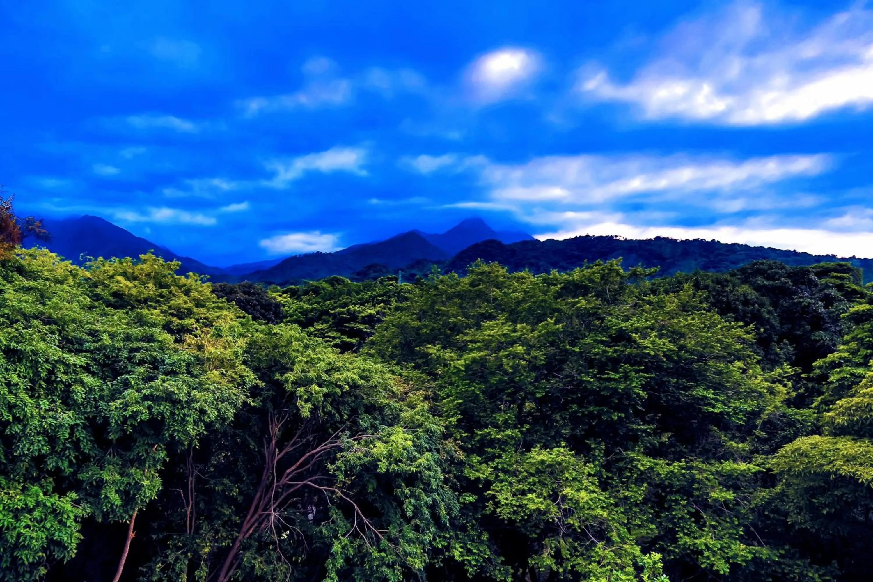 View (from property/room) in Villa Maria Tayrona, Jungle and Sea Experience