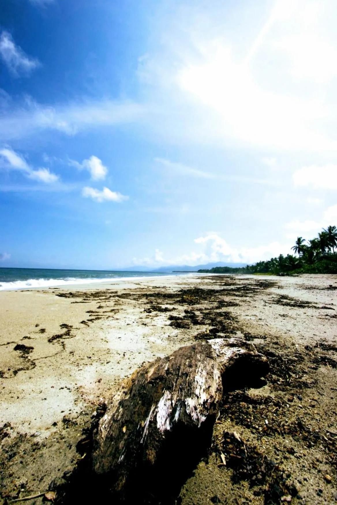Beach in Villa Maria Tayrona, Jungle and Sea Experience