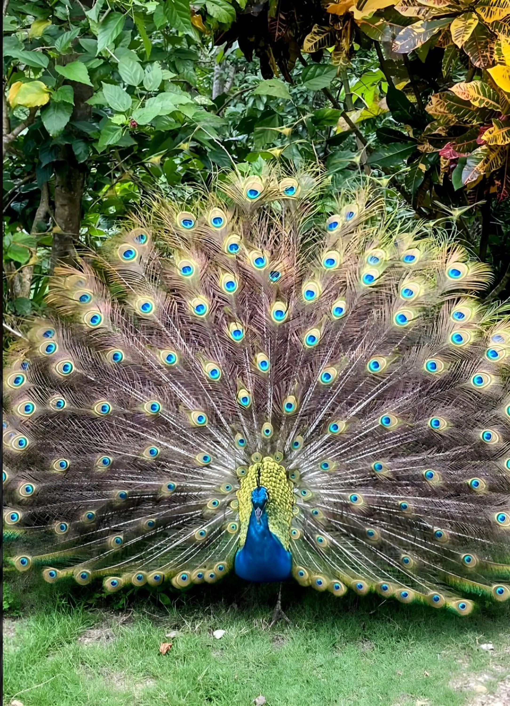 Natural landscape in Villa Maria Tayrona, Jungle and Sea Experience