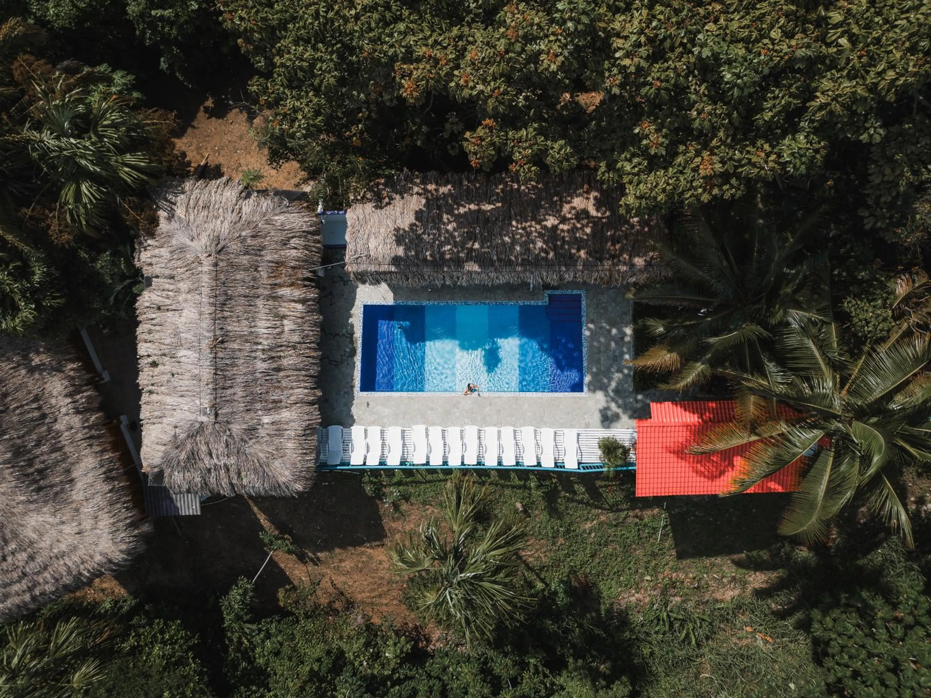 Pool view in Villa Maria Tayrona, Jungle and Sea Experience