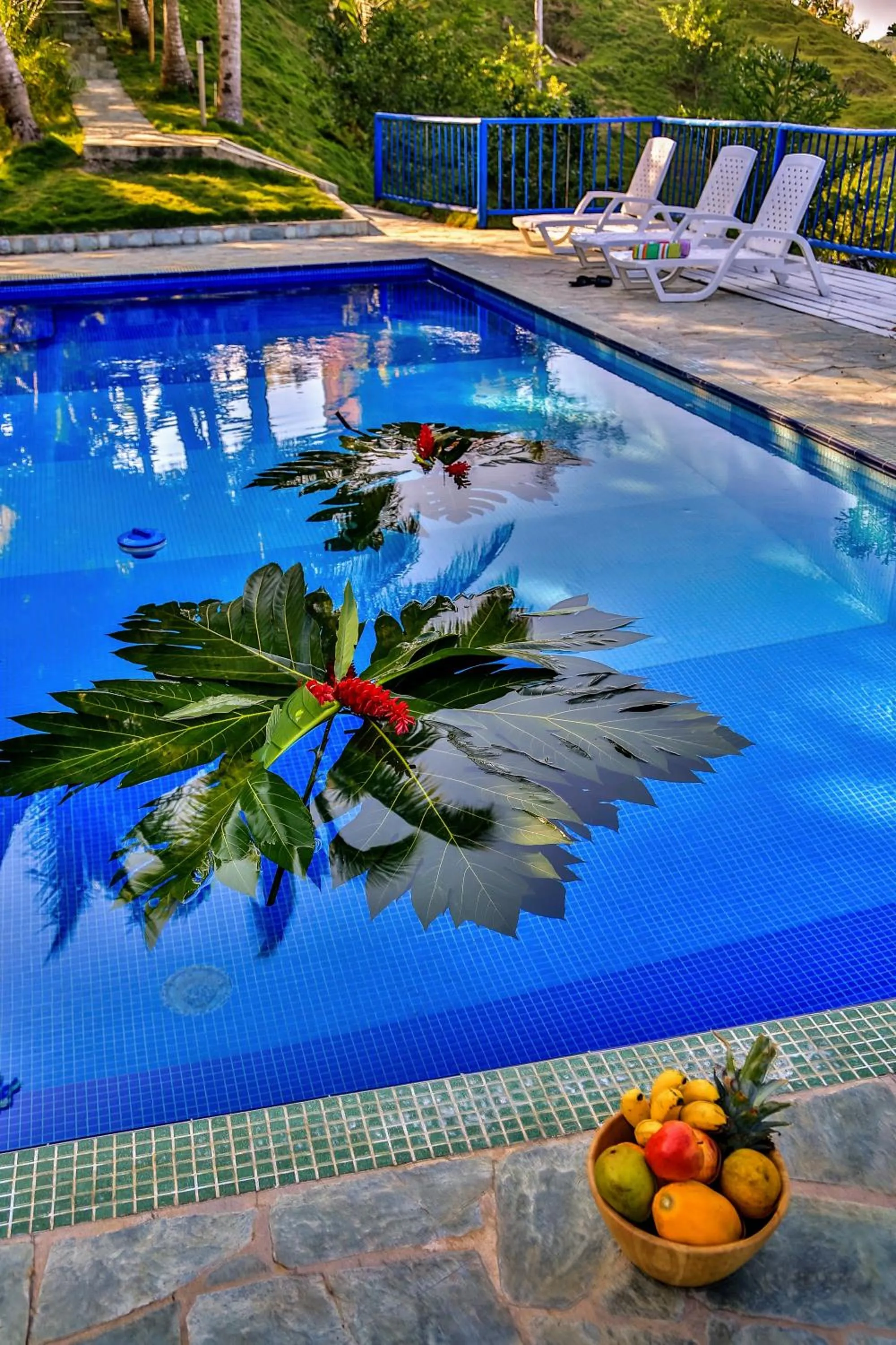 Swimming pool in Villa Maria Tayrona, Jungle and Sea Experience