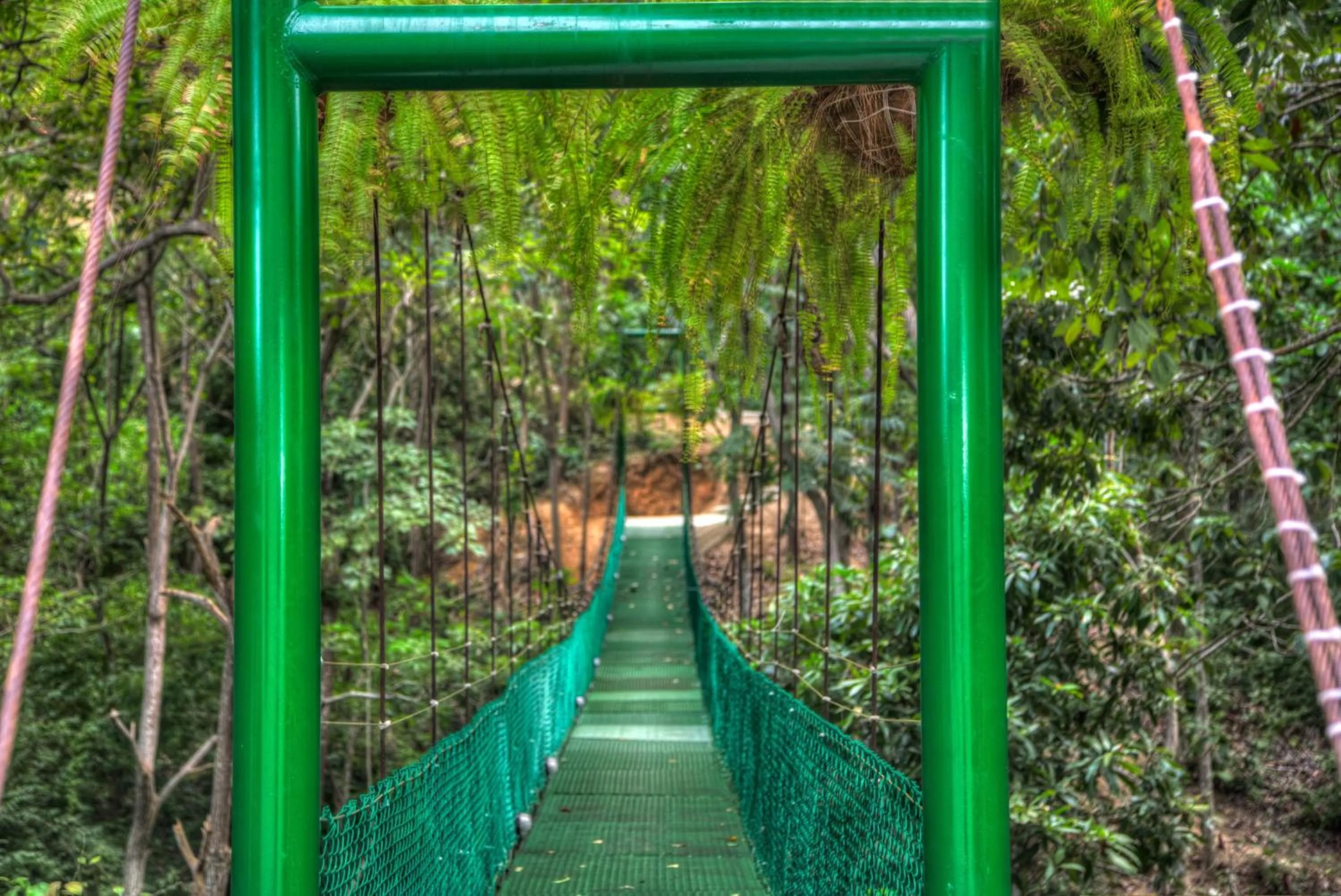 Other in Villa Maria Tayrona, Jungle and Sea Experience