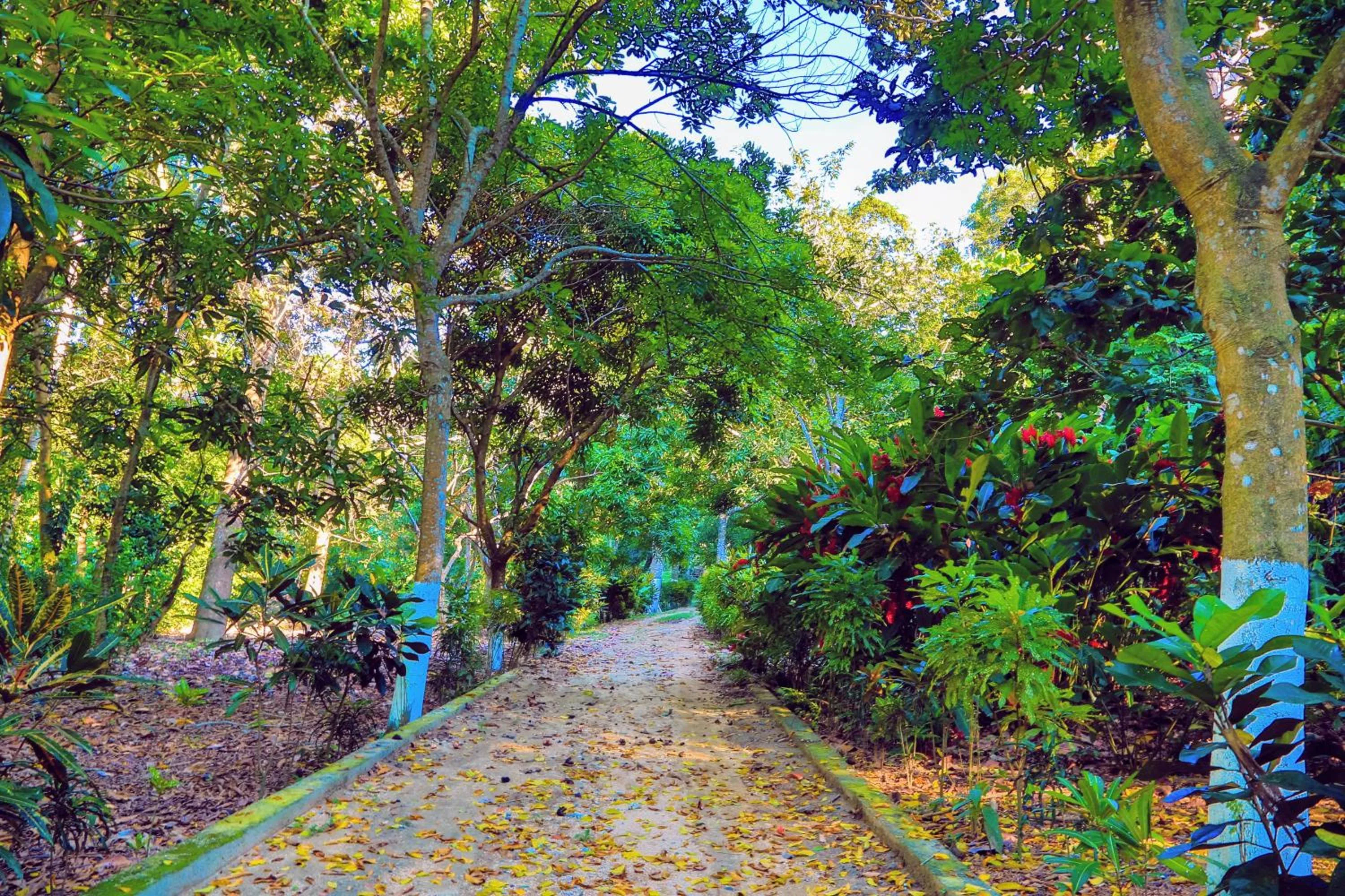 Natural landscape in Villa Maria Tayrona, Jungle and Sea Experience