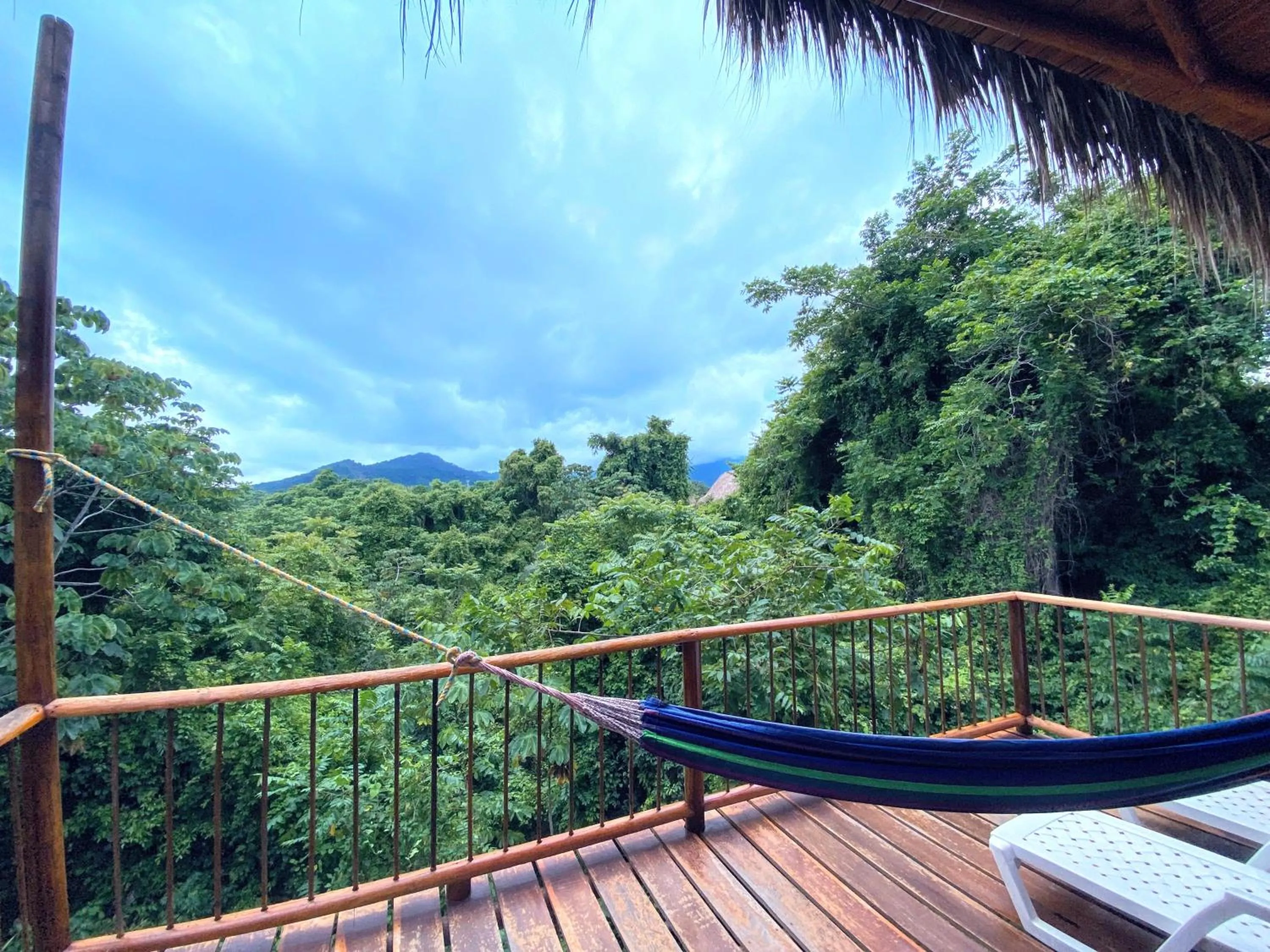 View (from property/room) in Villa Maria Tayrona, Jungle and Sea Experience