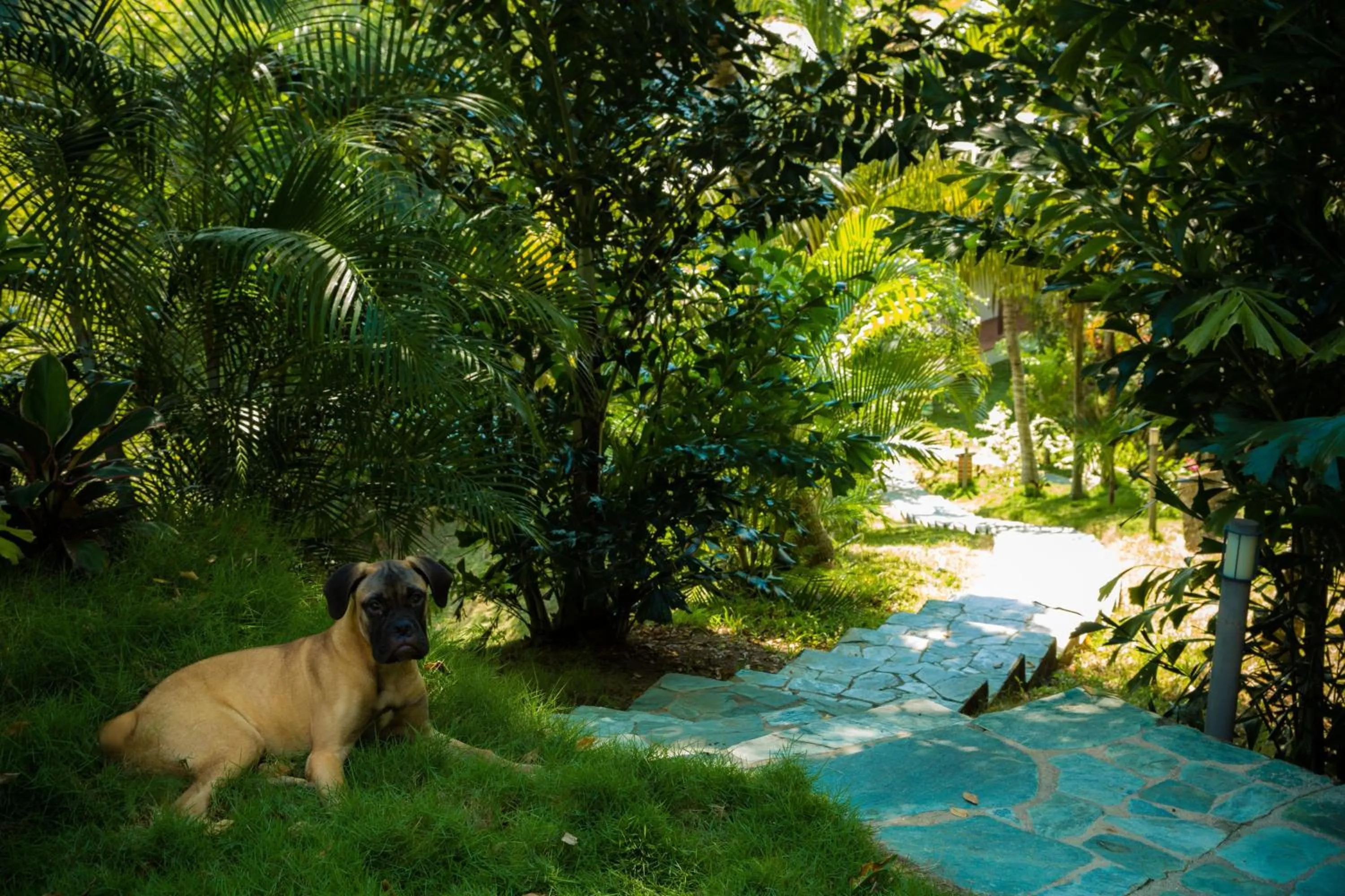 Other in Villa Maria Tayrona, Jungle and Sea Experience