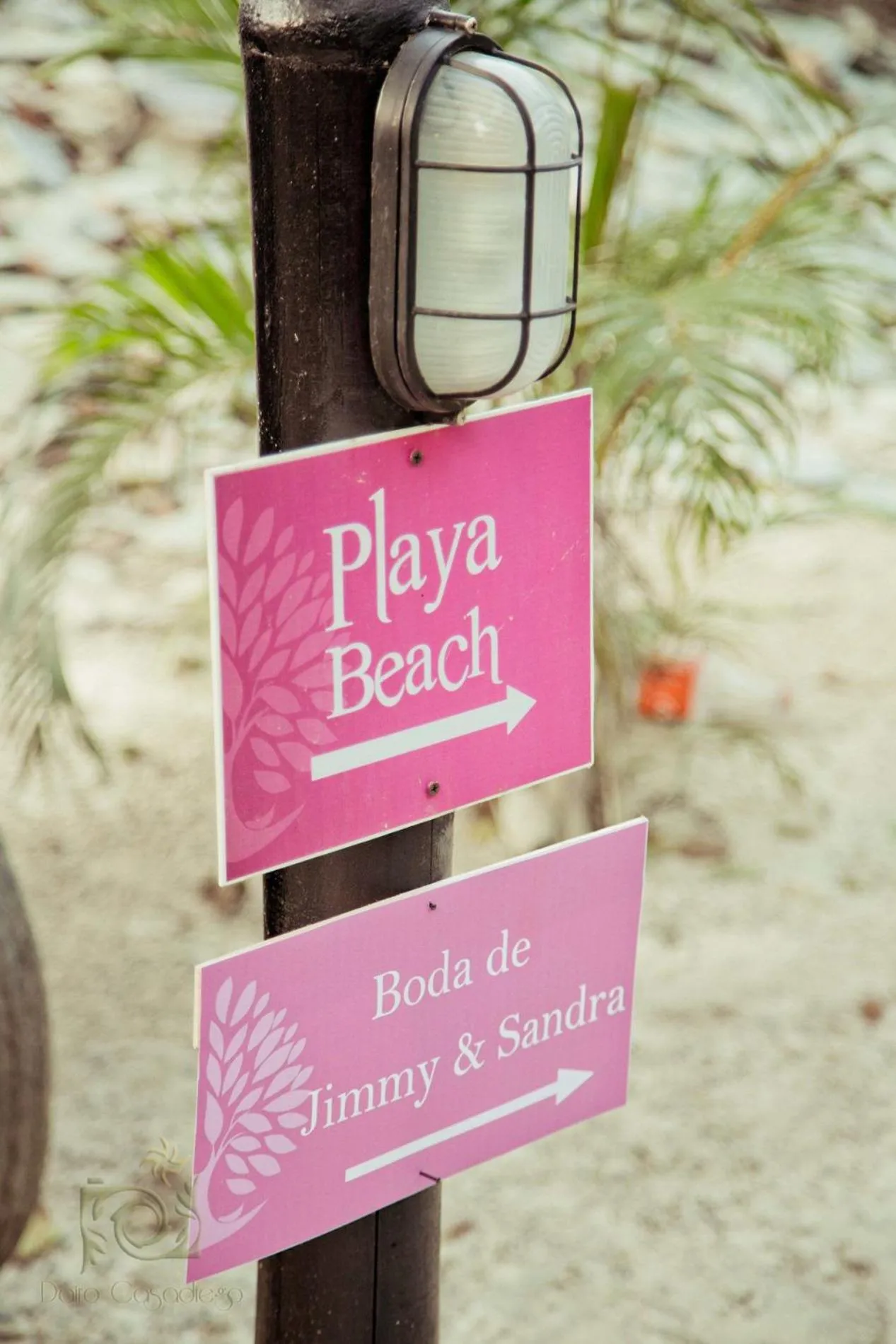 wedding in Villa Maria Tayrona, Jungle and Sea Experience