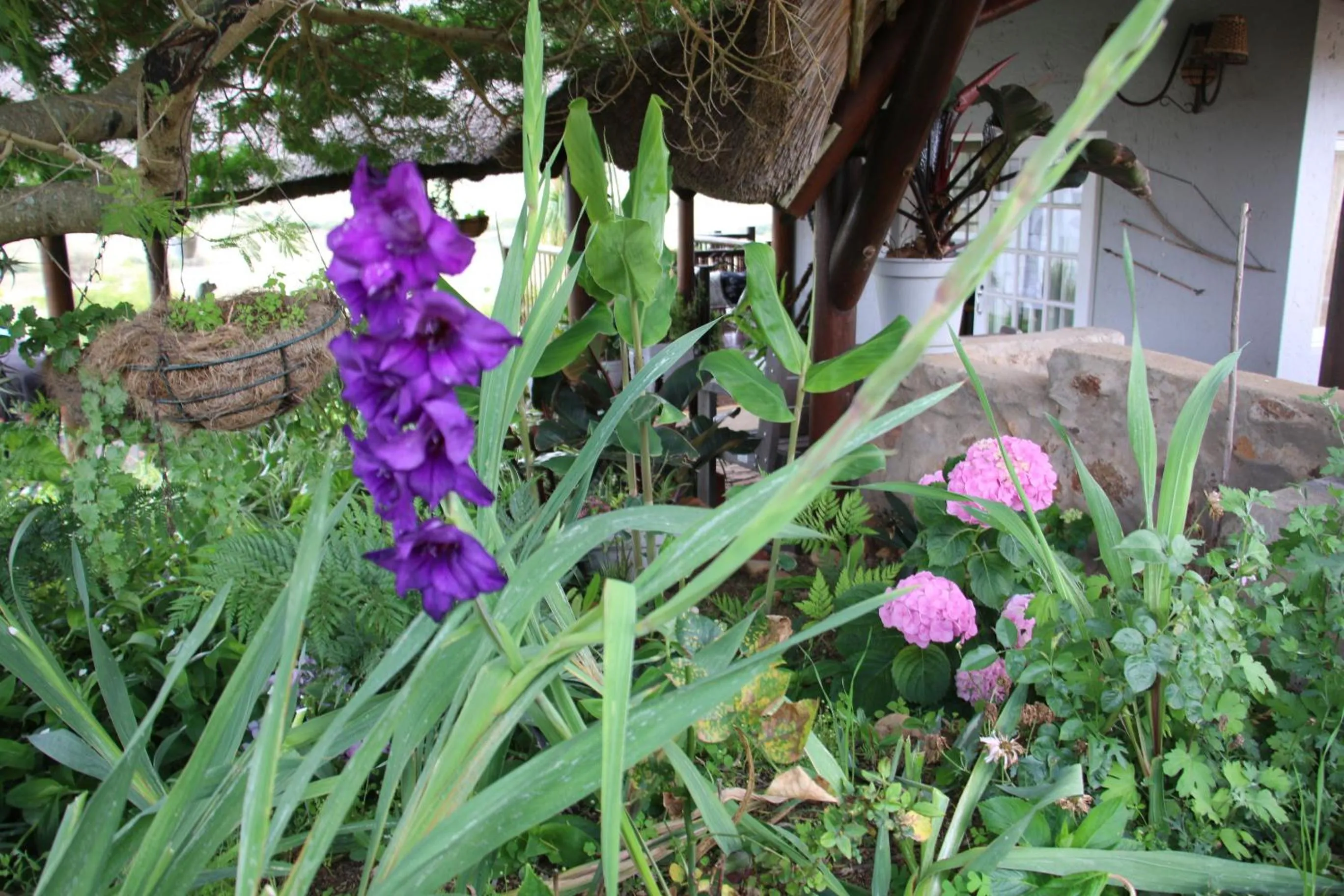 Garden in Outeniquabosch Lodge